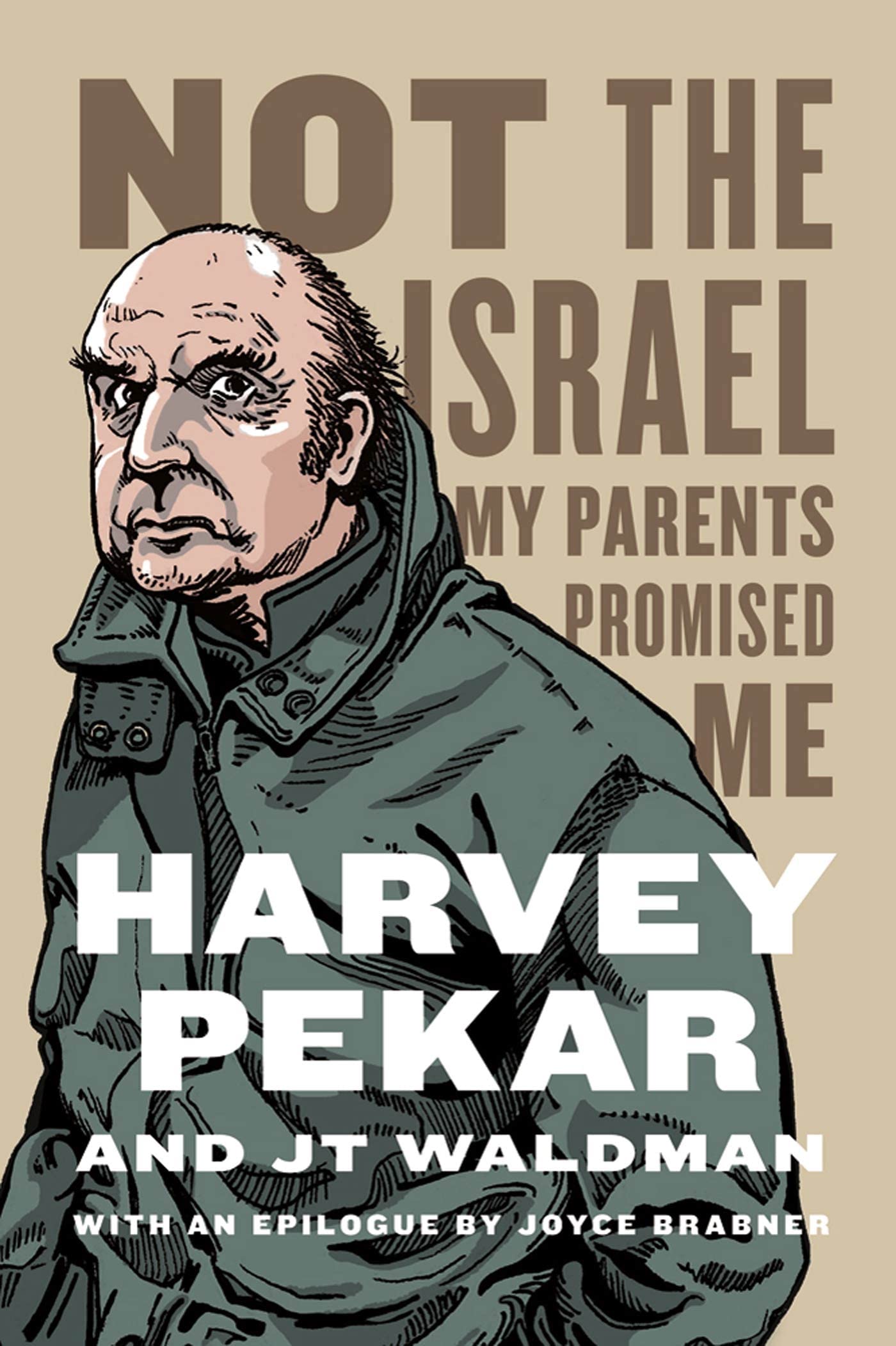Not the Israel My Parents Promised Me,Used