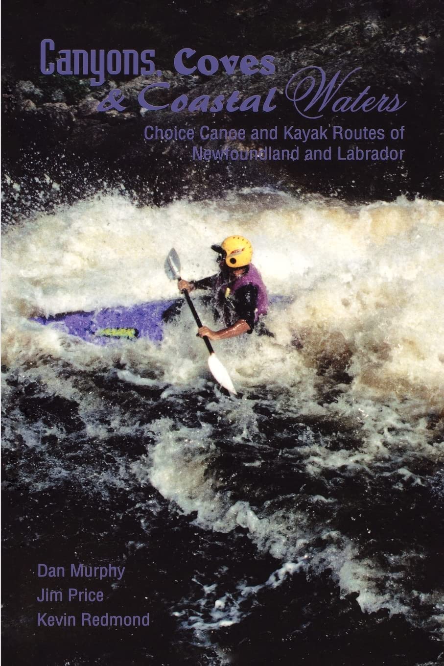 Canyons Coves And Coastal Waters: Canoe And Kayak Routes Of Newfoundland And Labrador,Used