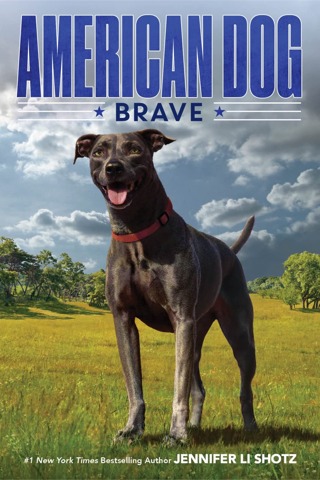 Brave (American Dog),Used