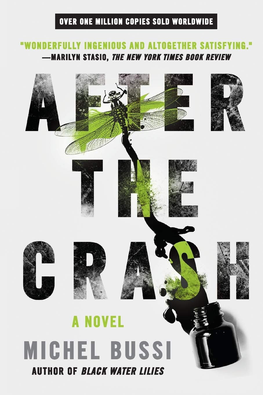 After the Crash: A Novel,Used