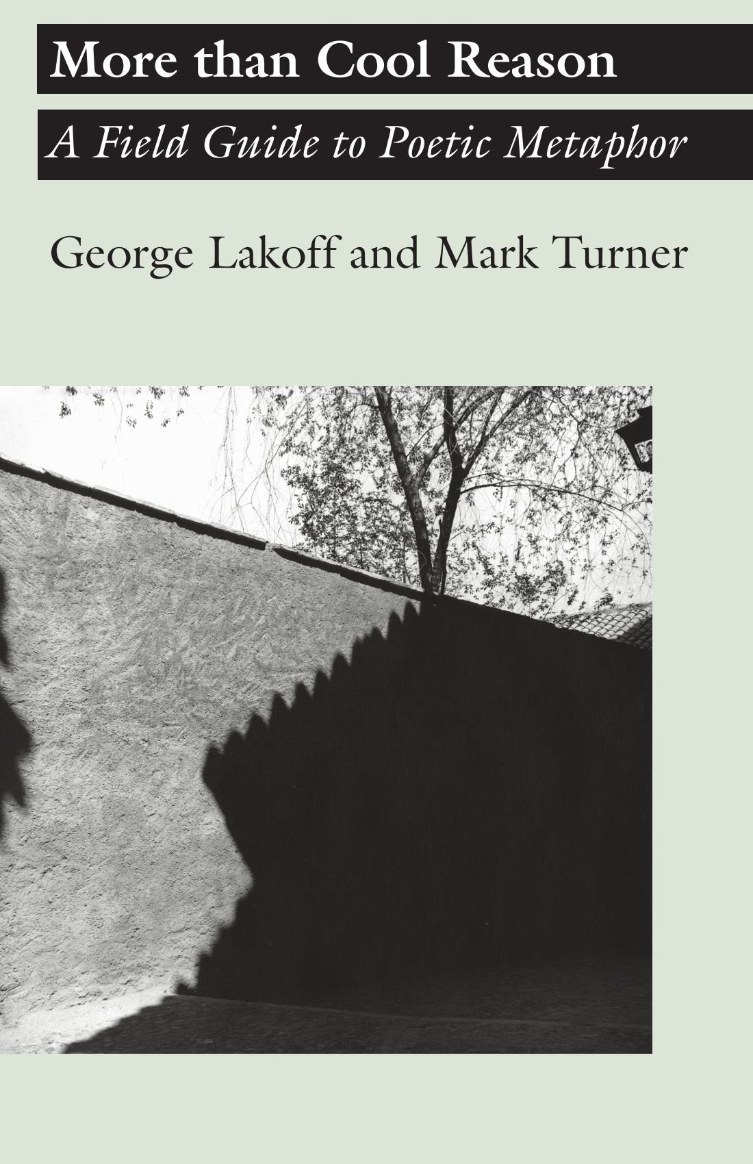 More Than Cool Reason: A Field Guide To Poetic Metaphor,New