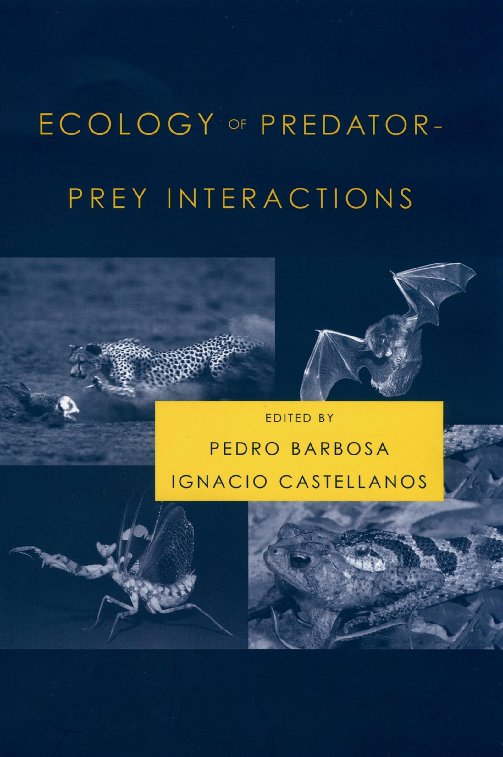 Ecology of PredatorPrey Interactions,New