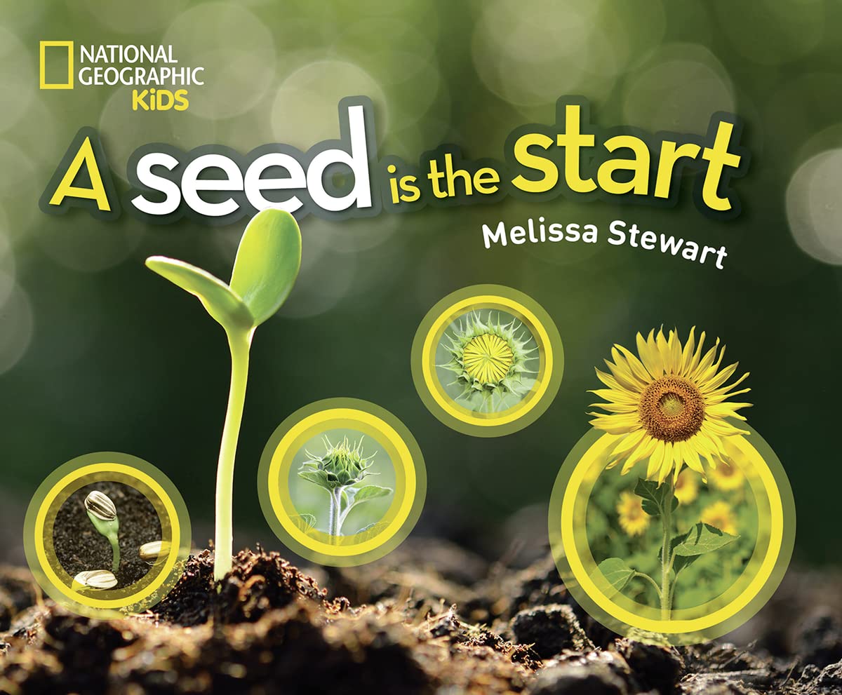 A Seed is the Start,Used