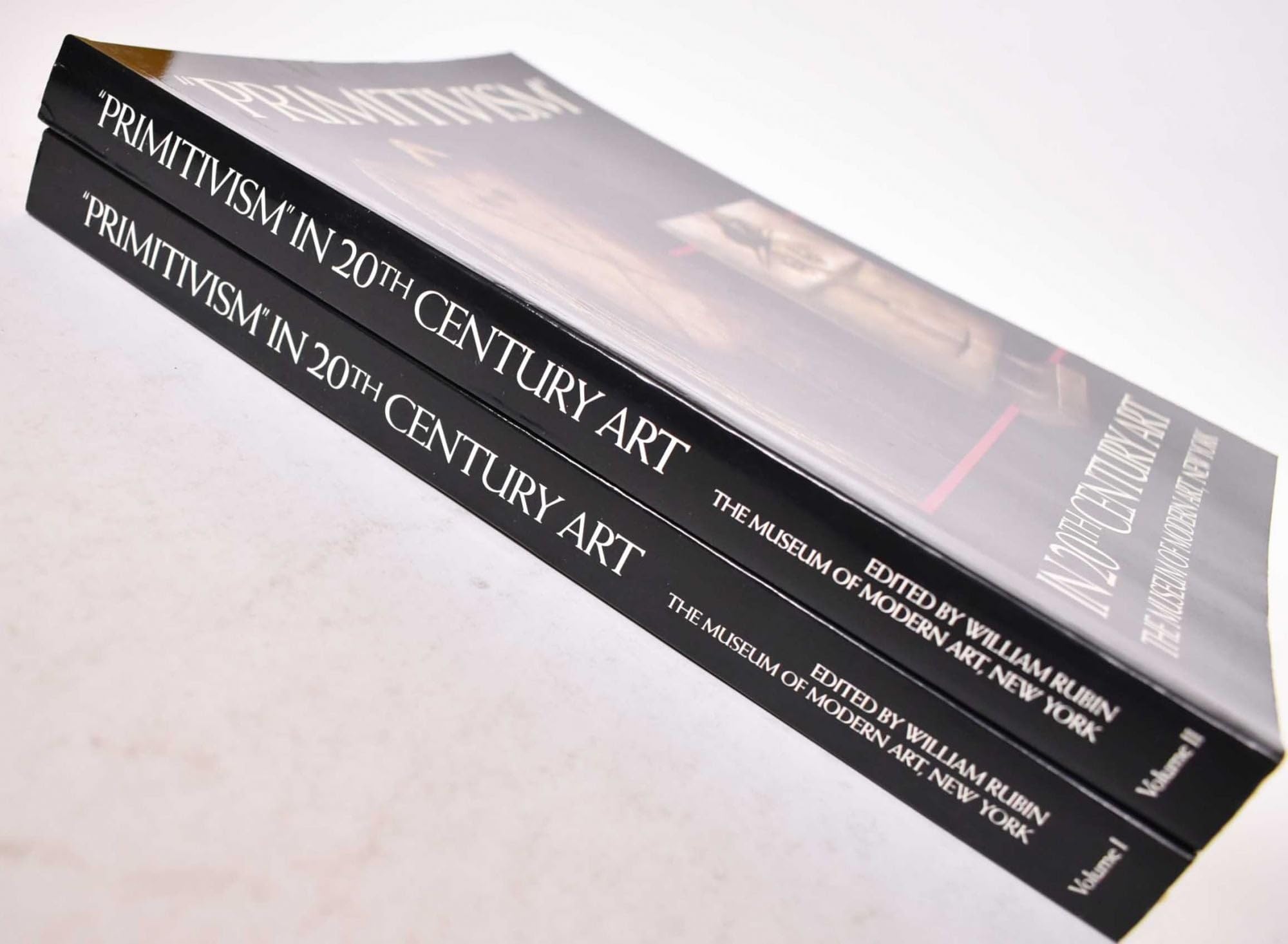 Primitivism In 20Th Century Art: Affinity Of The Tribal And The Modern, In Two Volumes