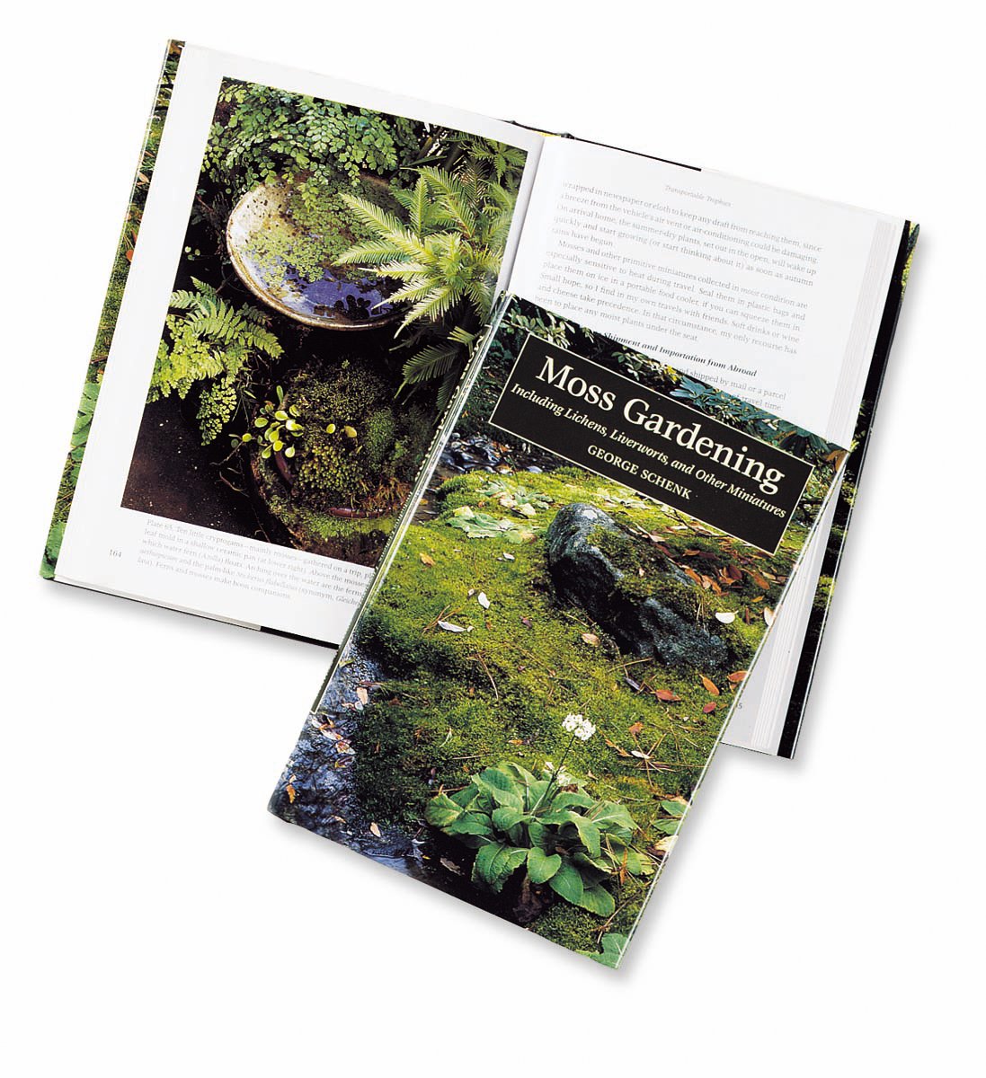 Moss Gardening: Including Lichens, Liverworts, And Other Miniatures,New
