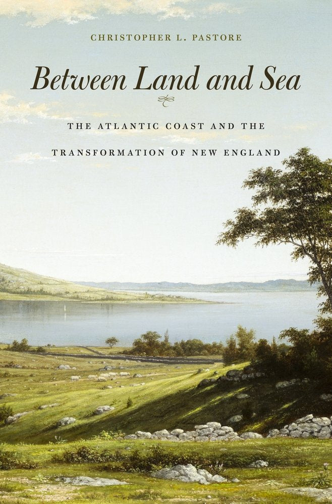 Between Land And Sea: The Atlantic Coast And The Transformation Of New England,Used