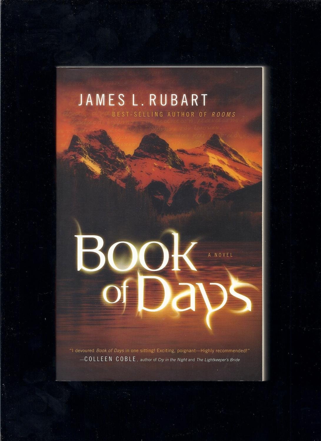Book of Days: A Novel,Used
