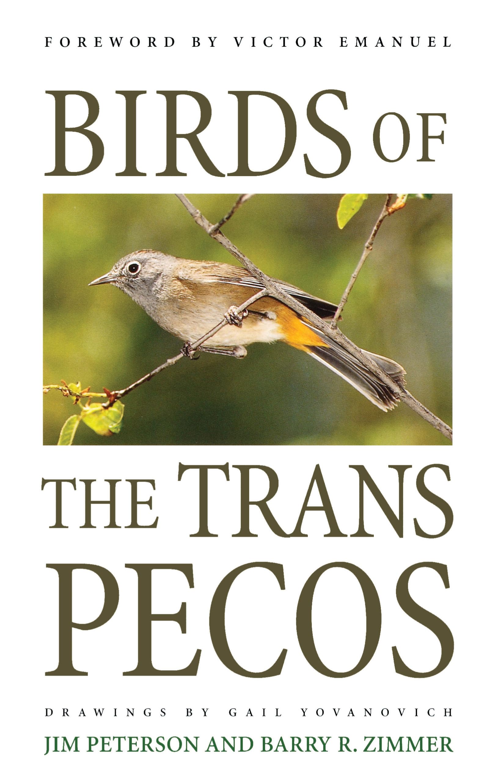 Birds of the TransPecos (Corrie Herring Hooks Series),Used