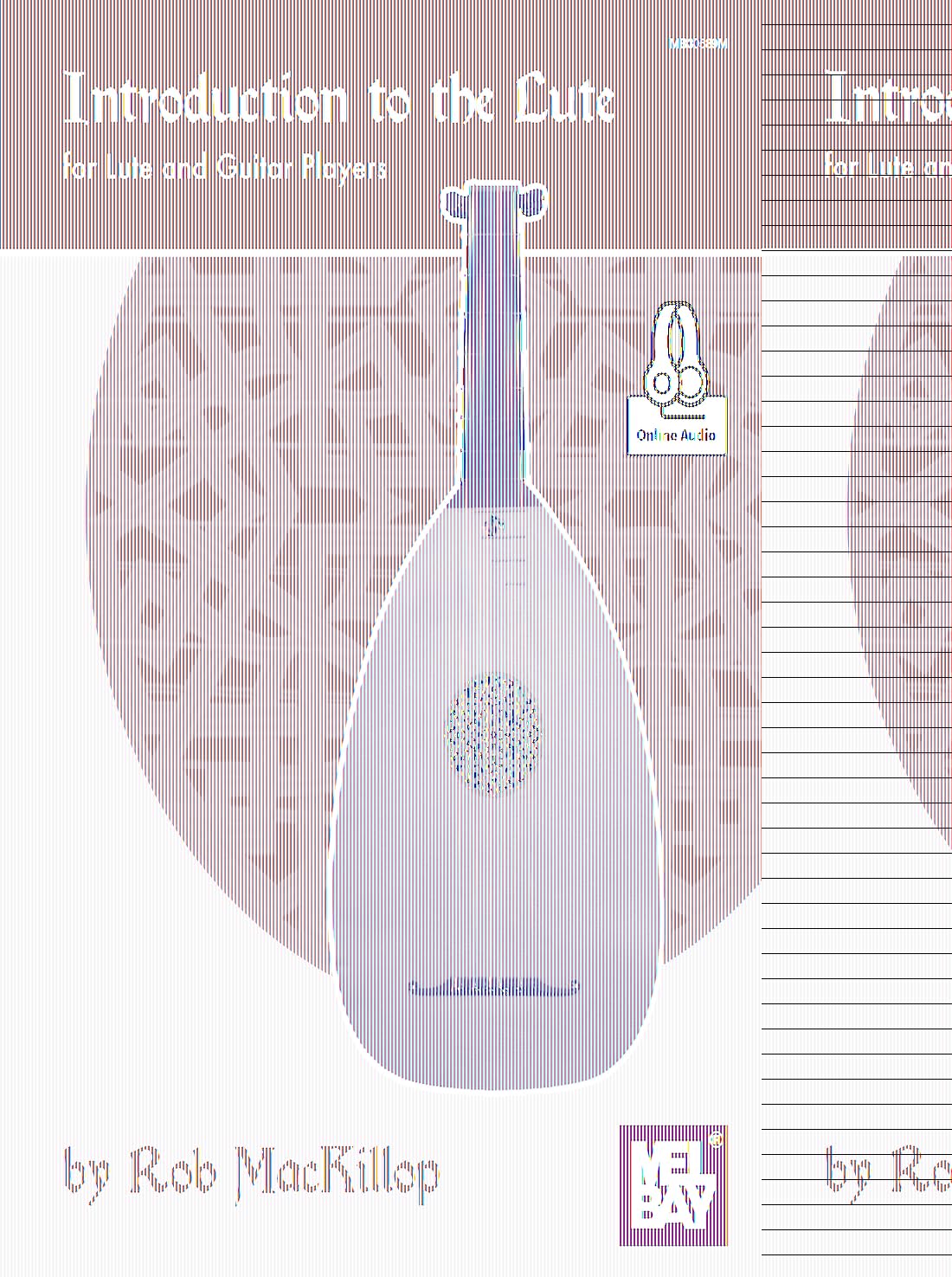 Introduction to the Lute: For Lute and Guitar Players,Used