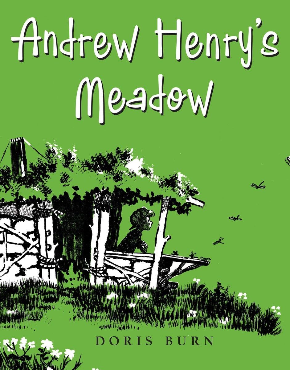 Andrew Henry's Meadow,Used