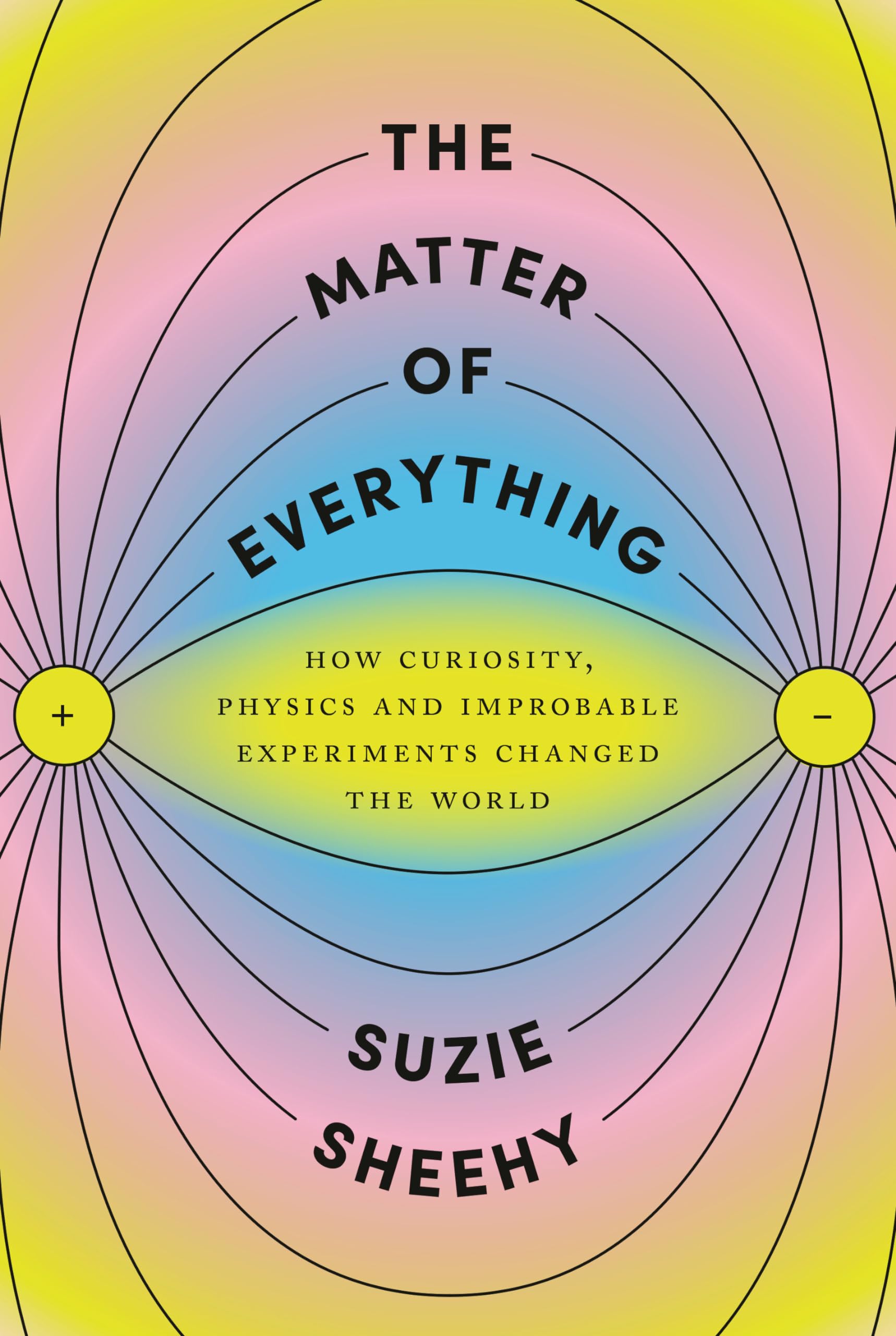 The Matter Of Everything: How Curiosity, Physics, And Improbable Experiments Changed The World,Used