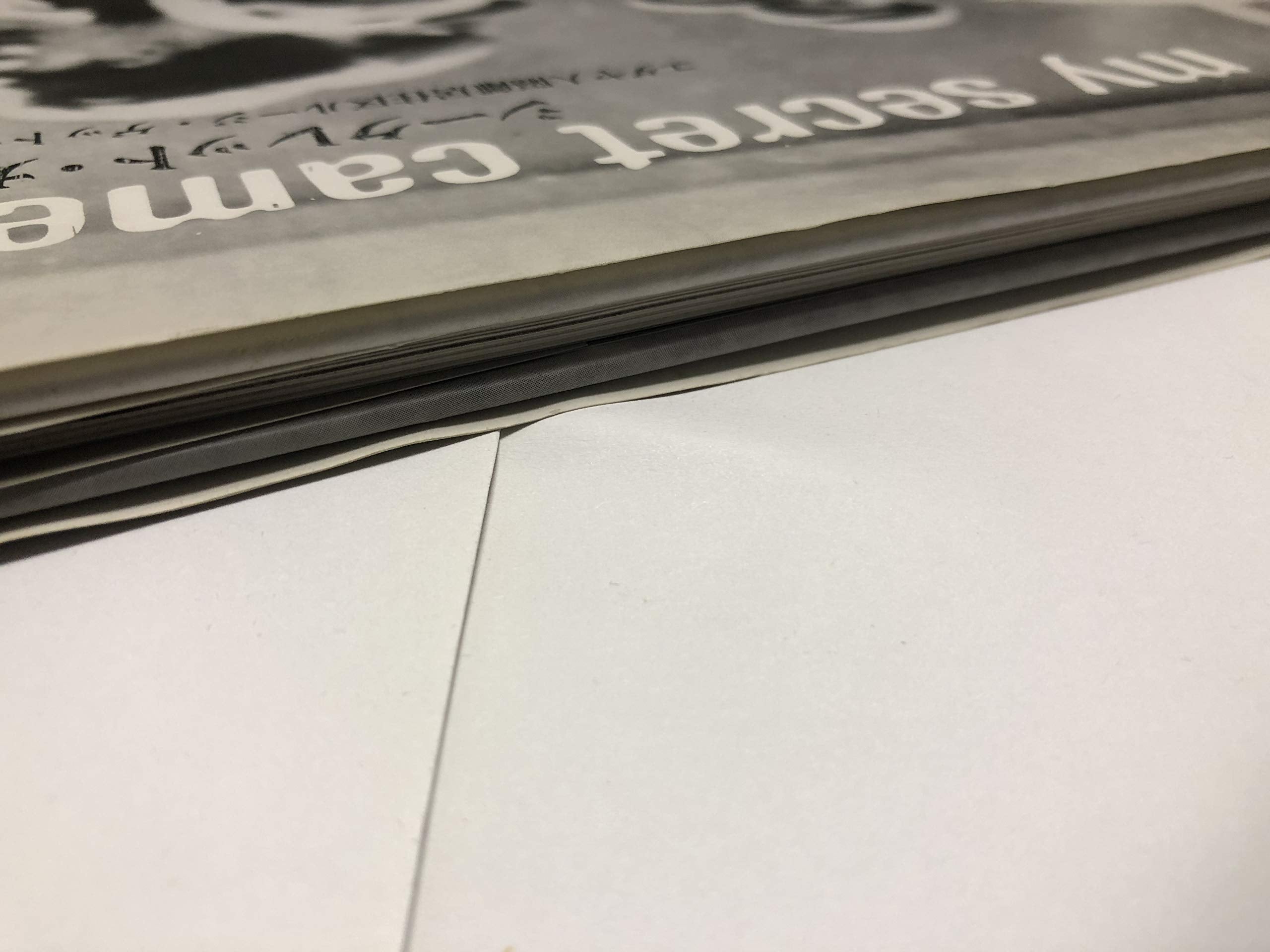 My Secret Camera: Life In The Lodz Ghetto,Used