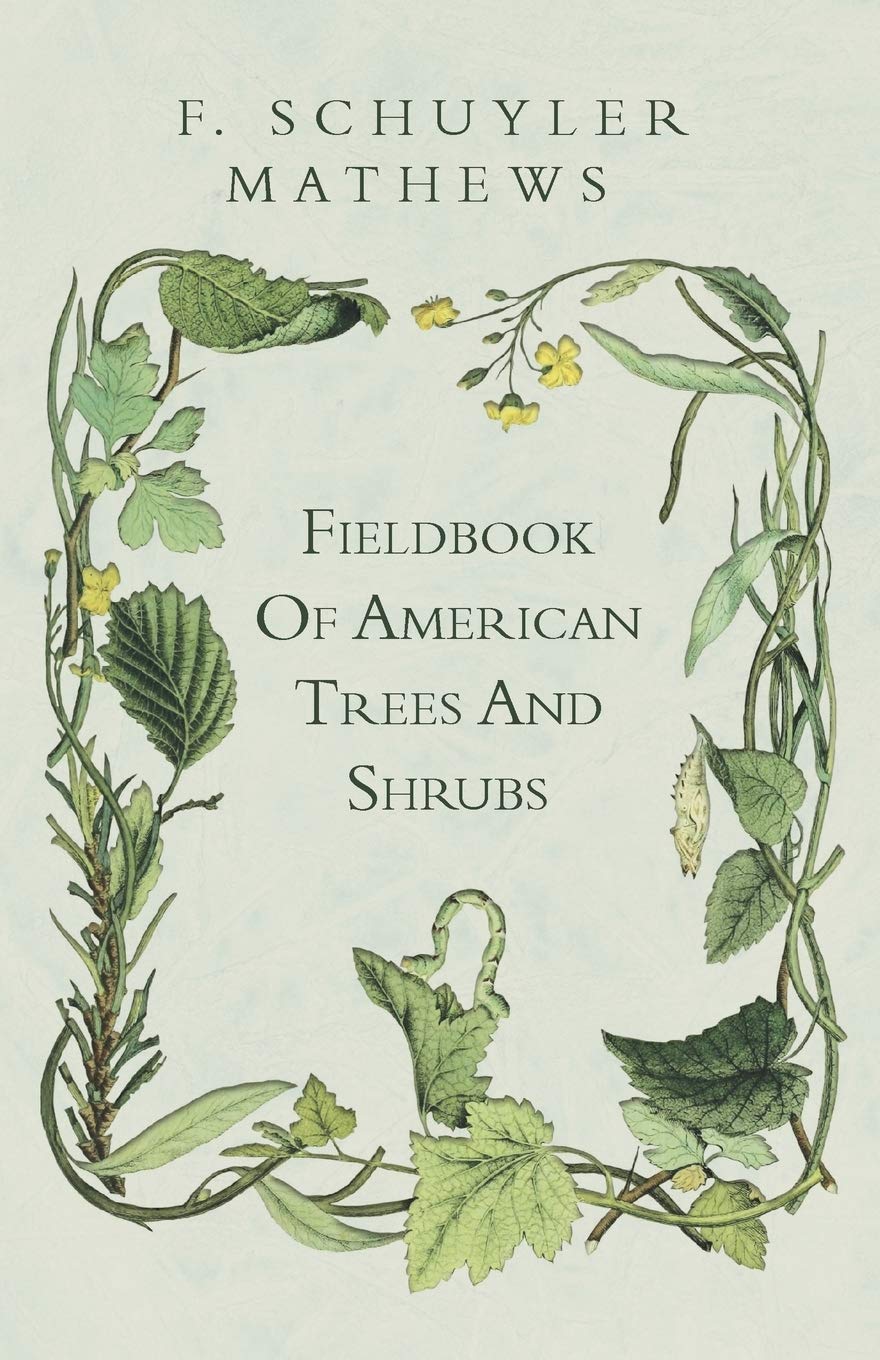 Fieldbook Of American Trees And Shrubs,Used