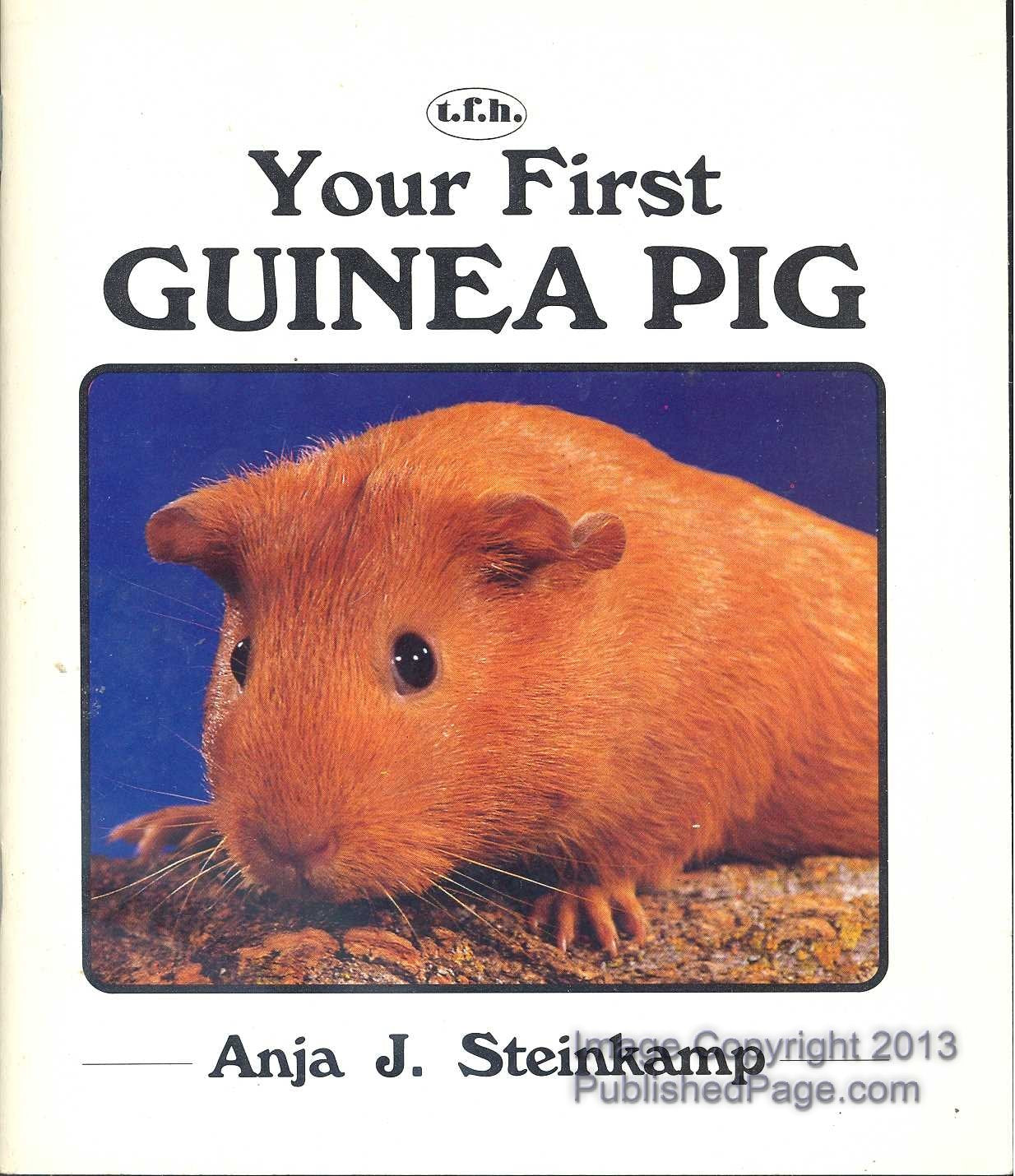 Your First Guinea Pig,Used
