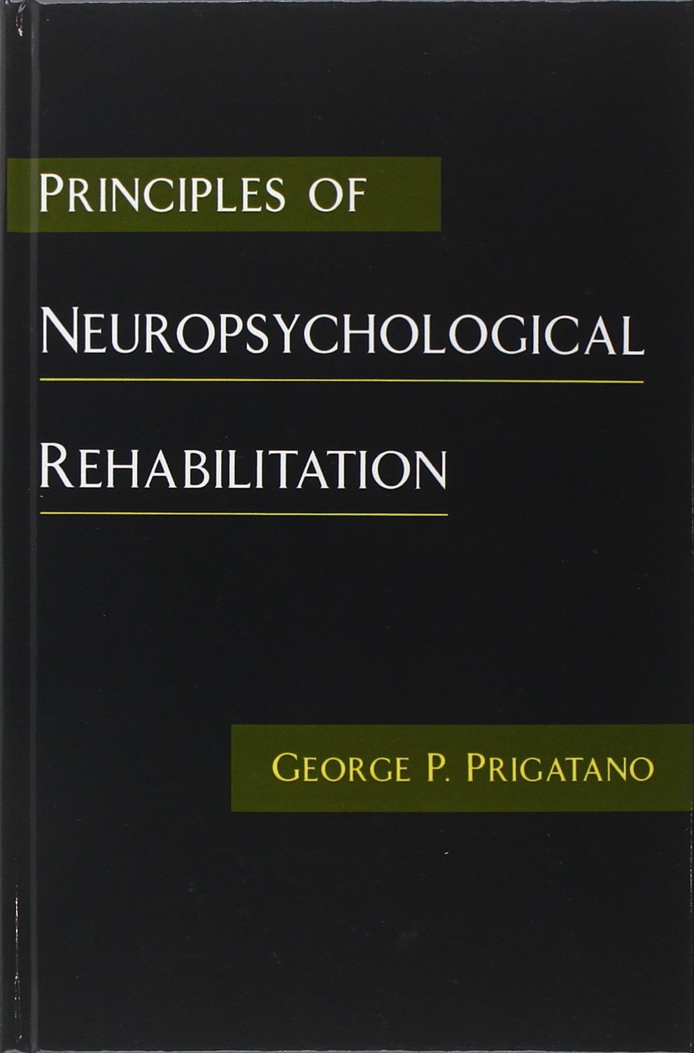 Principles of Neuropsychological Rehabilitation,New