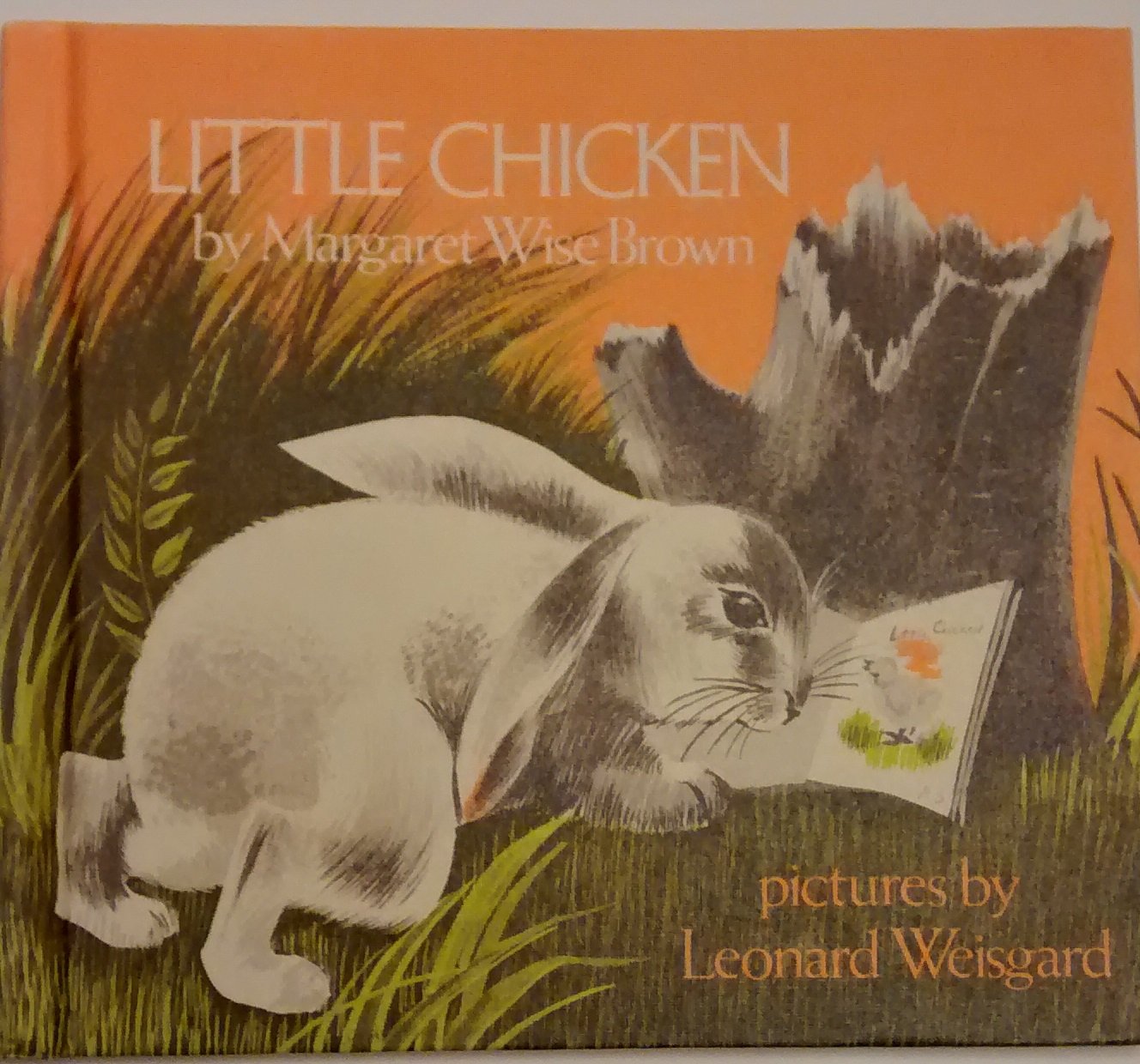 Little Chicken,Used