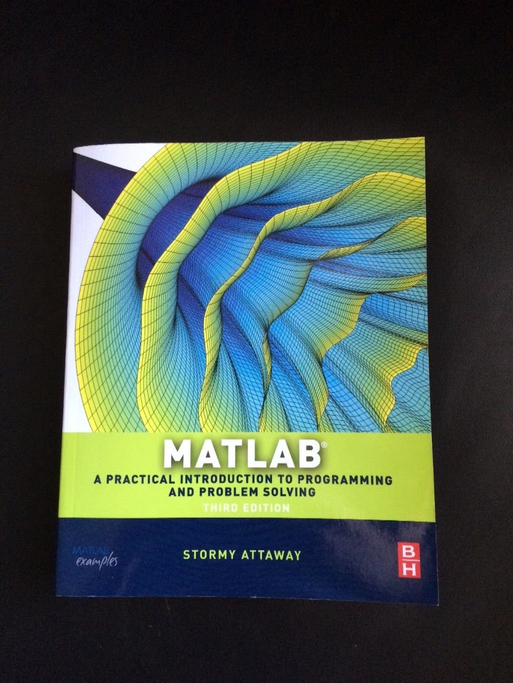 Matlab: A Practical Introduction To Programming And Problem Solving,New