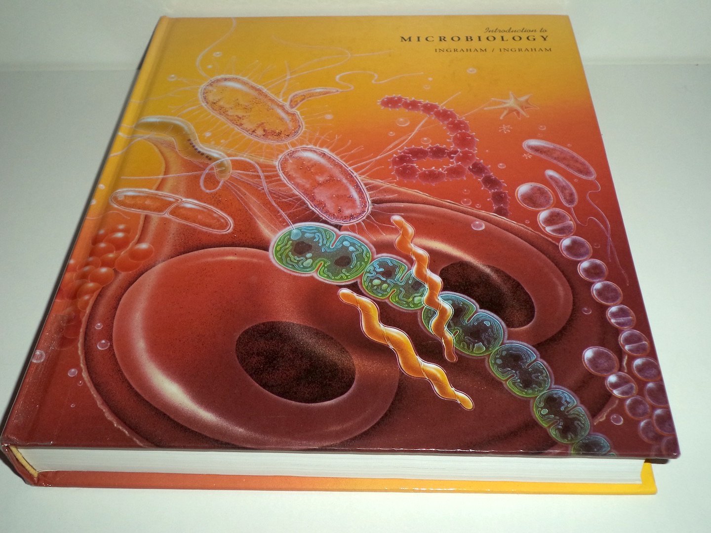 Introduction to Microbiology,Used