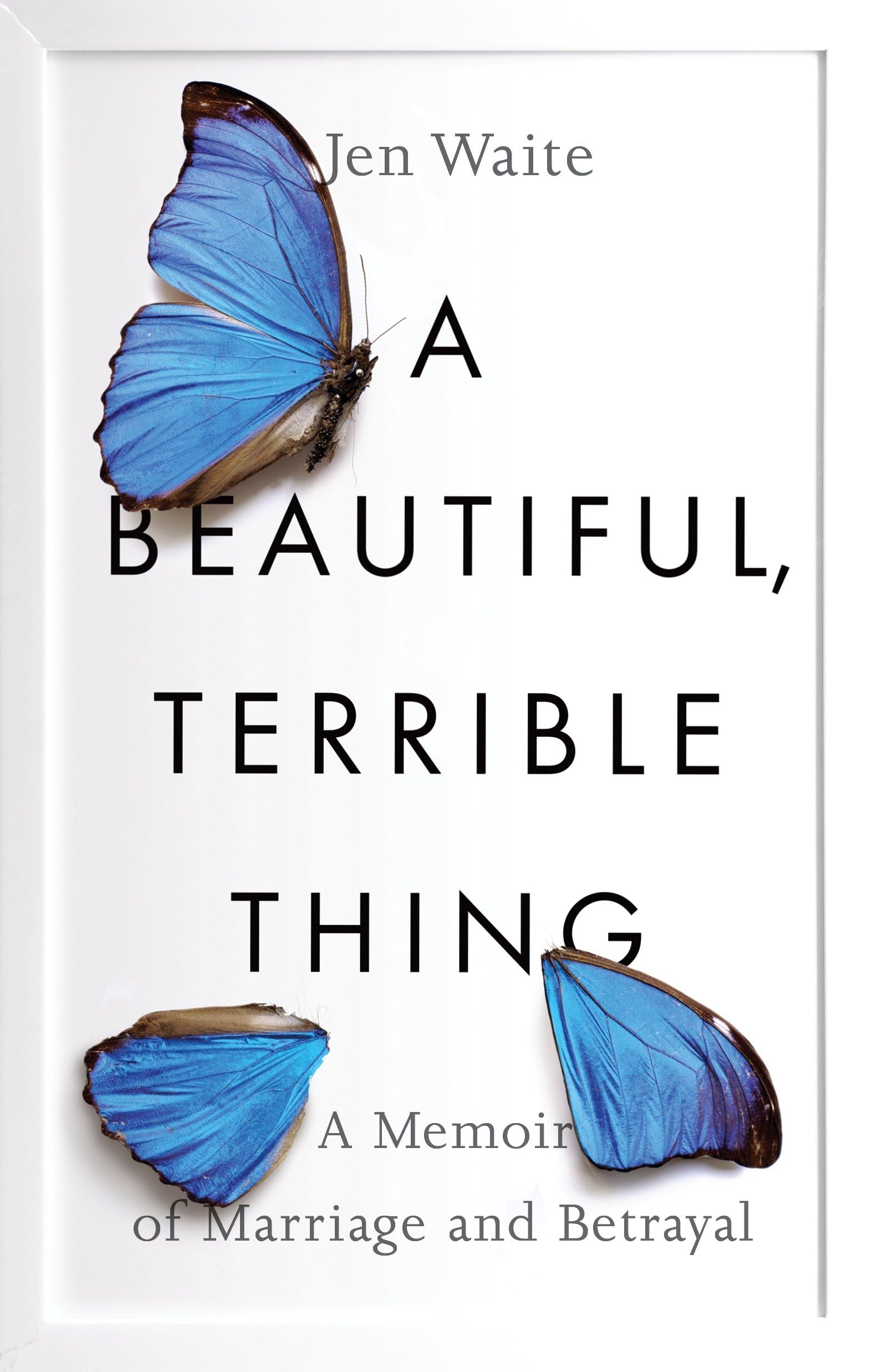 A Beautiful, Terrible Thing: A Memoir Of Marriage And Betrayal,New