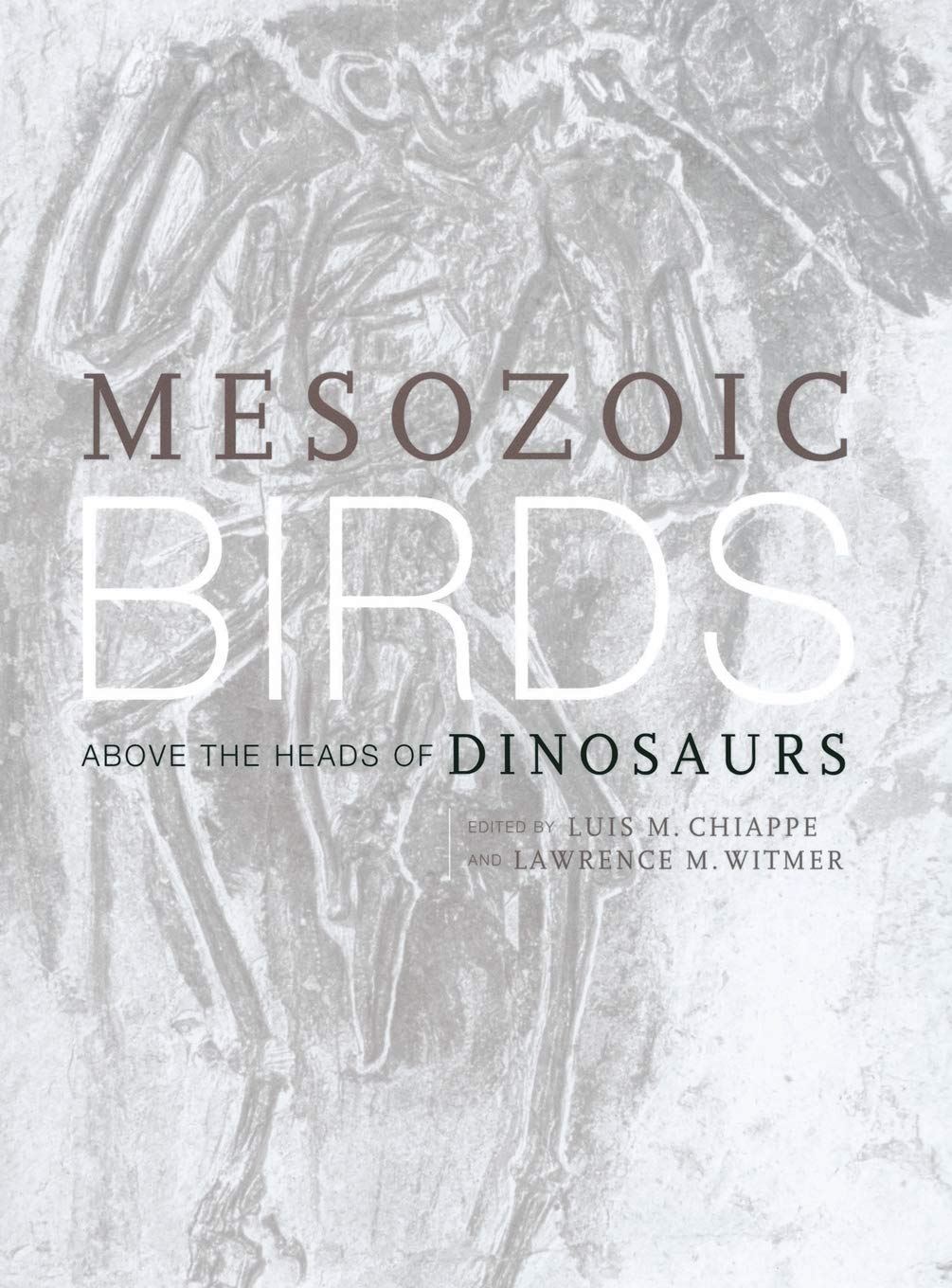 Mesozoic Birds: Above the Heads of Dinosaurs,Used