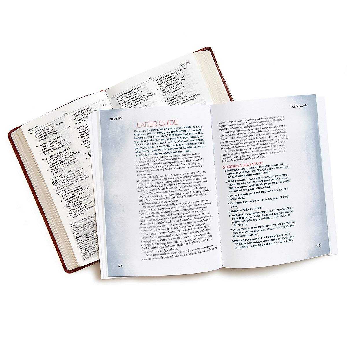 Gideon: Your Weakness. God's Strength. Bible Study Book,New