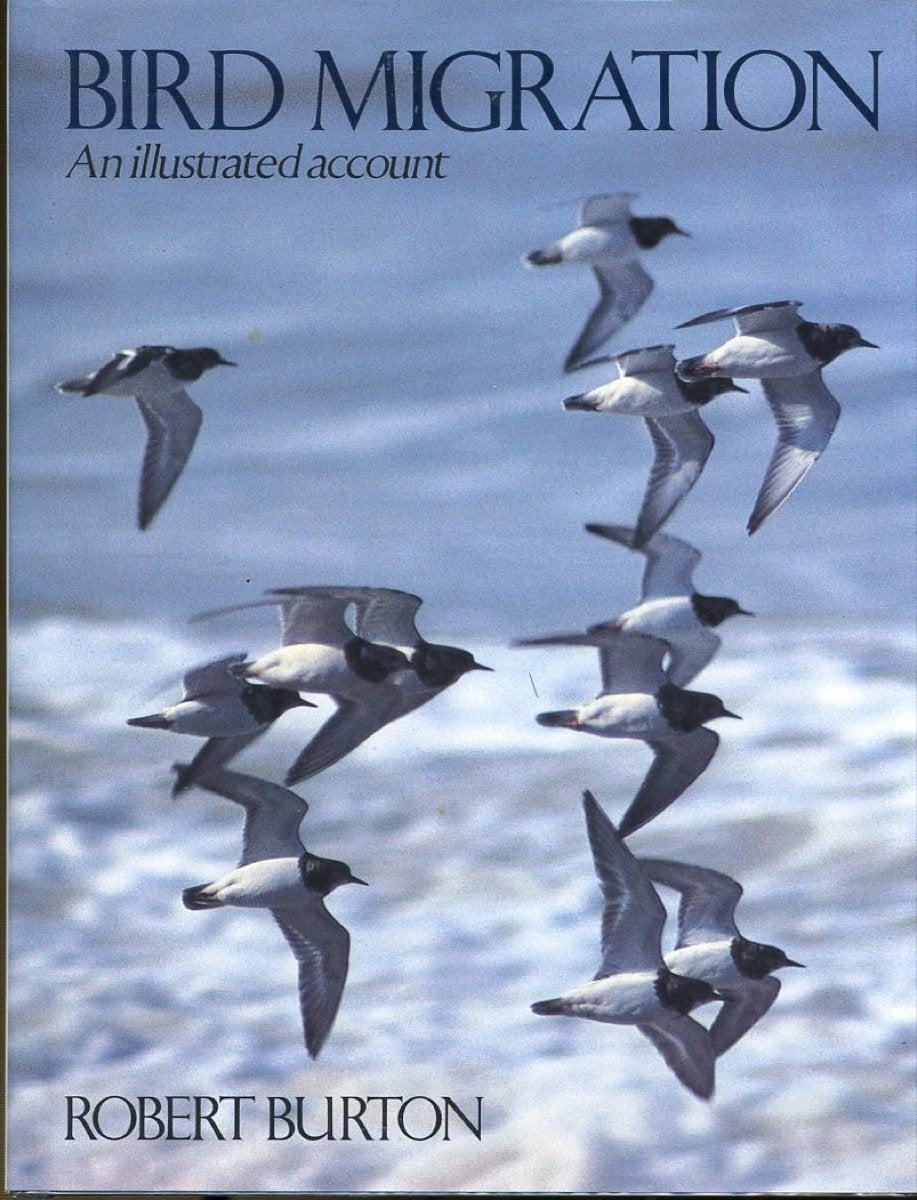 Bird Migration: An Illustrated Account,Used