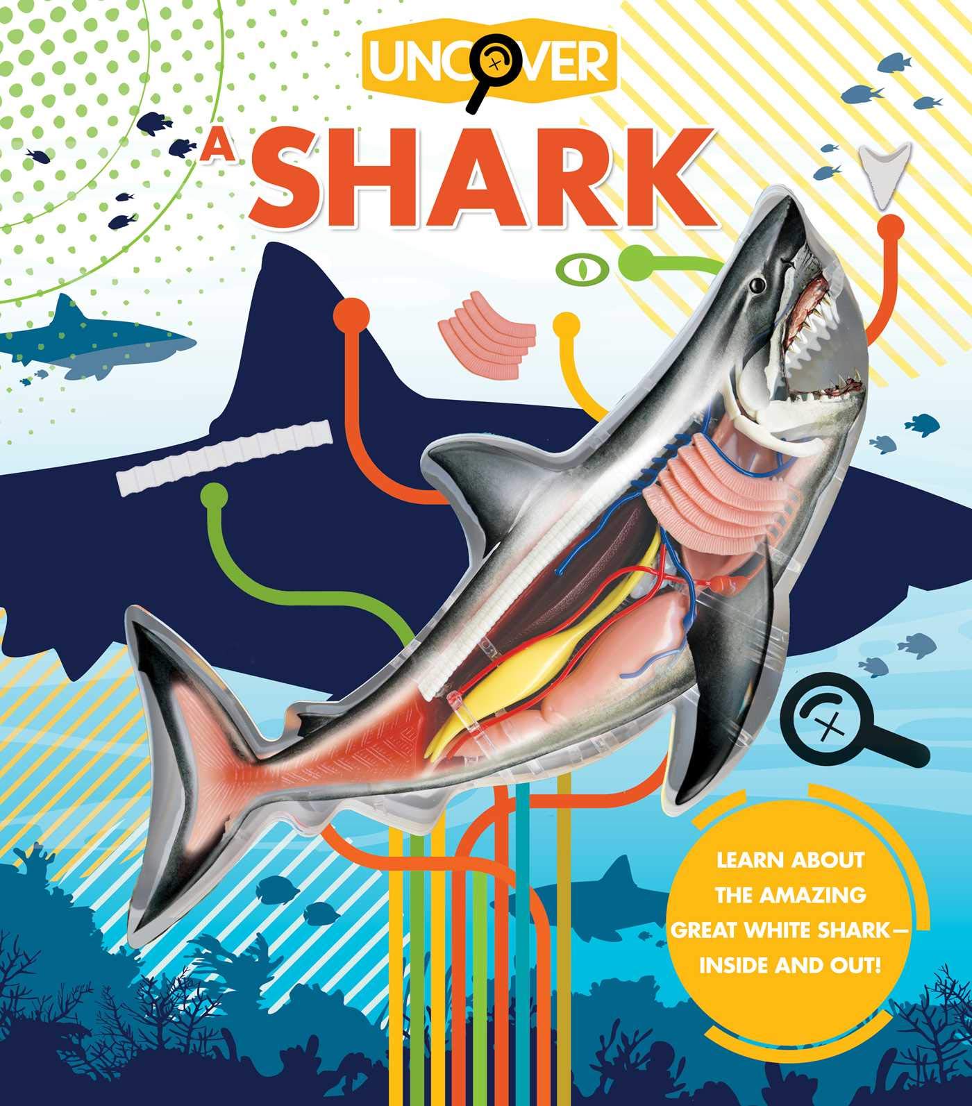 Uncover A Shark