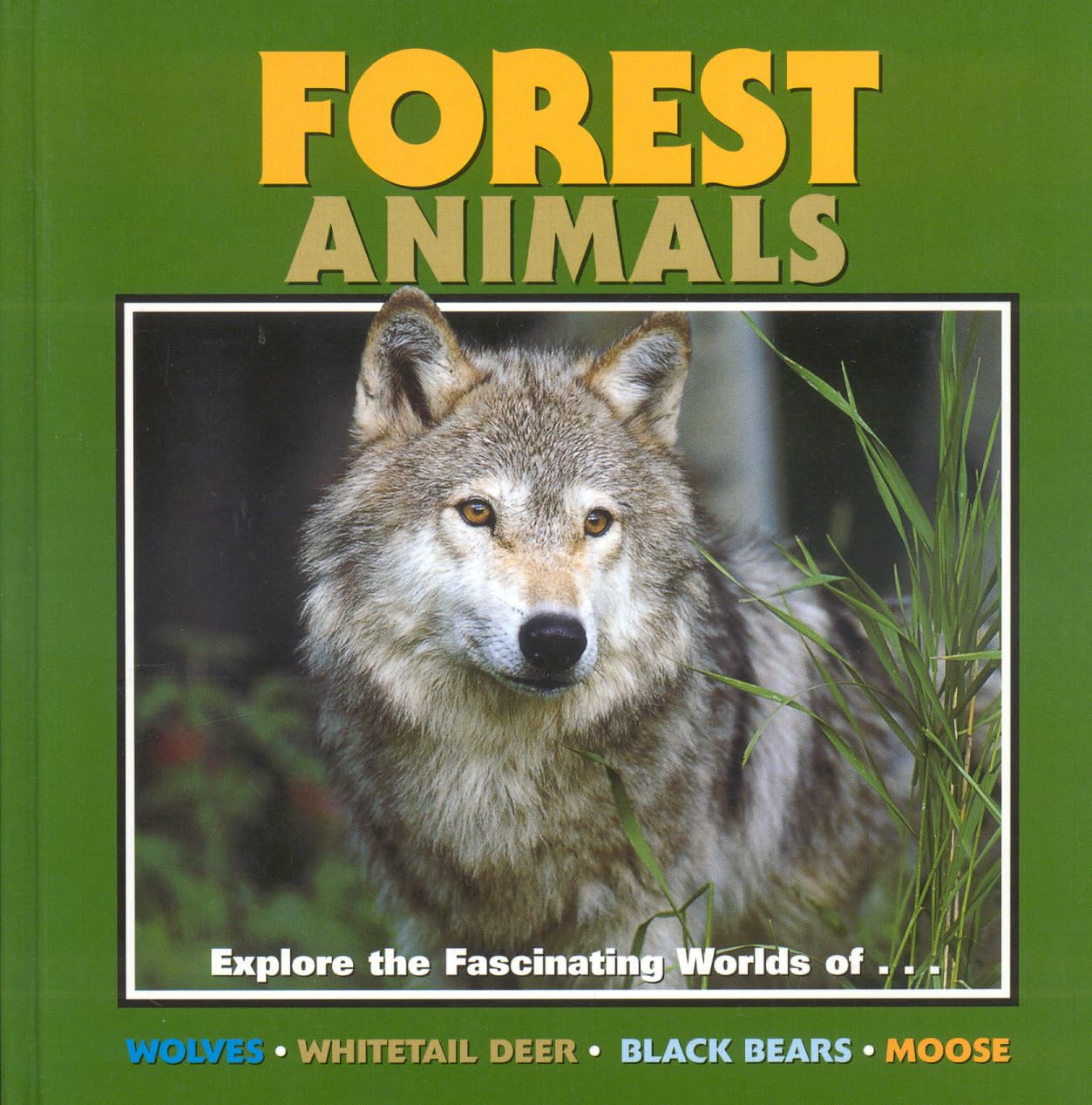 Forest Animals (Nature for Kids),Used