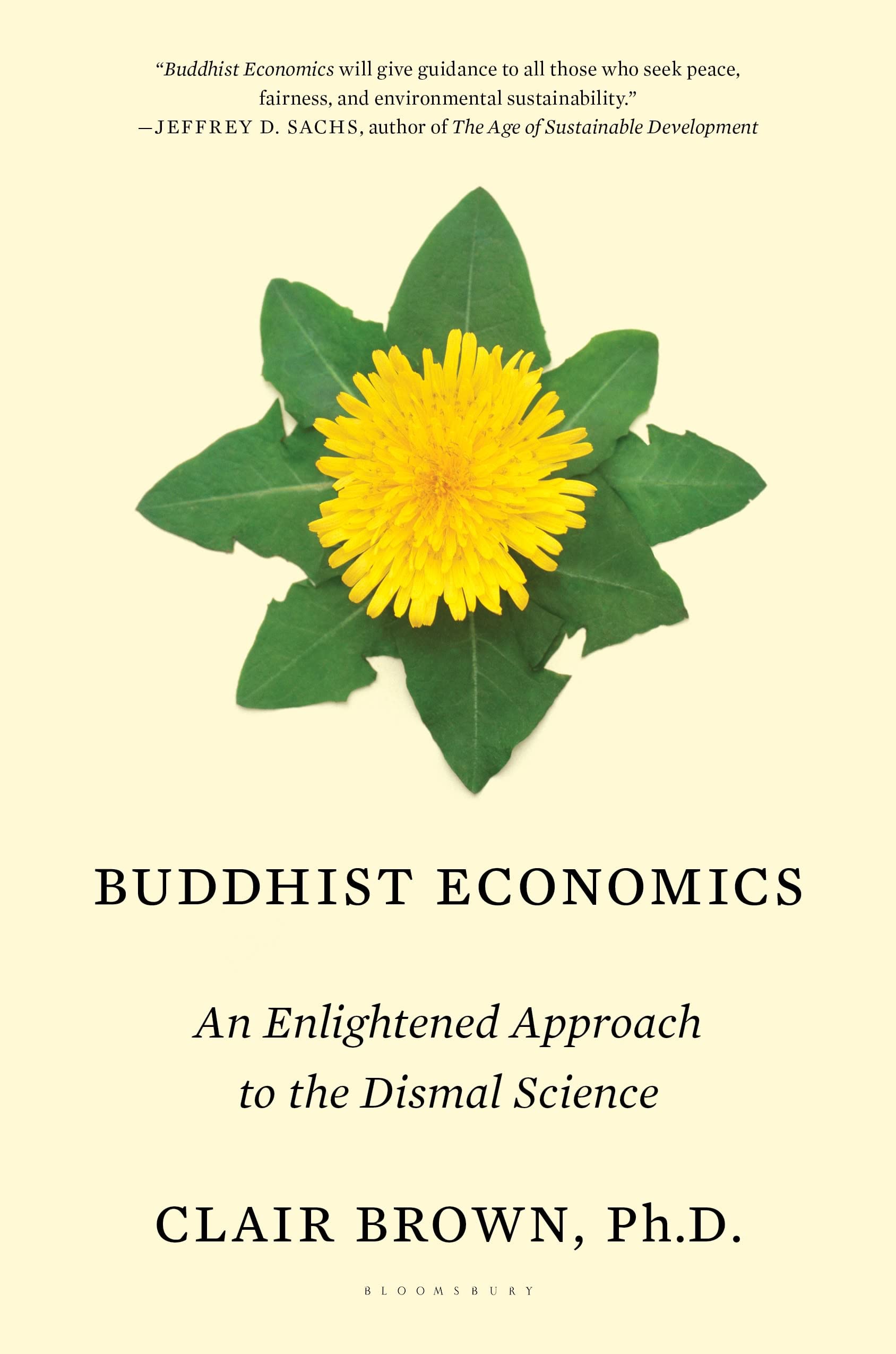 Buddhist Economics: An Enlightened Approach to the Dismal Science,Used