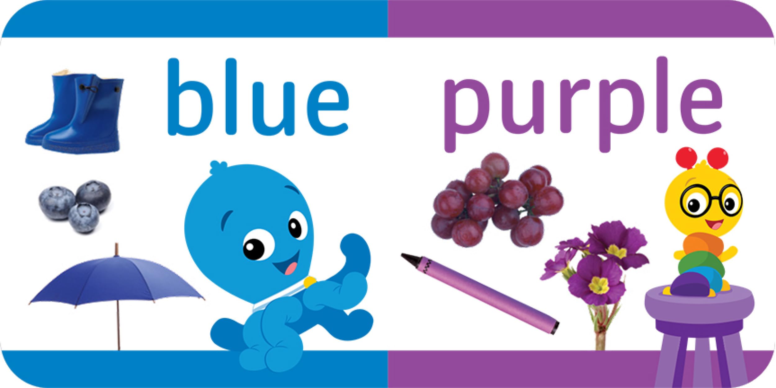 Baby Einstein  My First Library Board Book Block 12Book Set  First Words, Alphabet, Numbers, and More!  PI Kids,Used