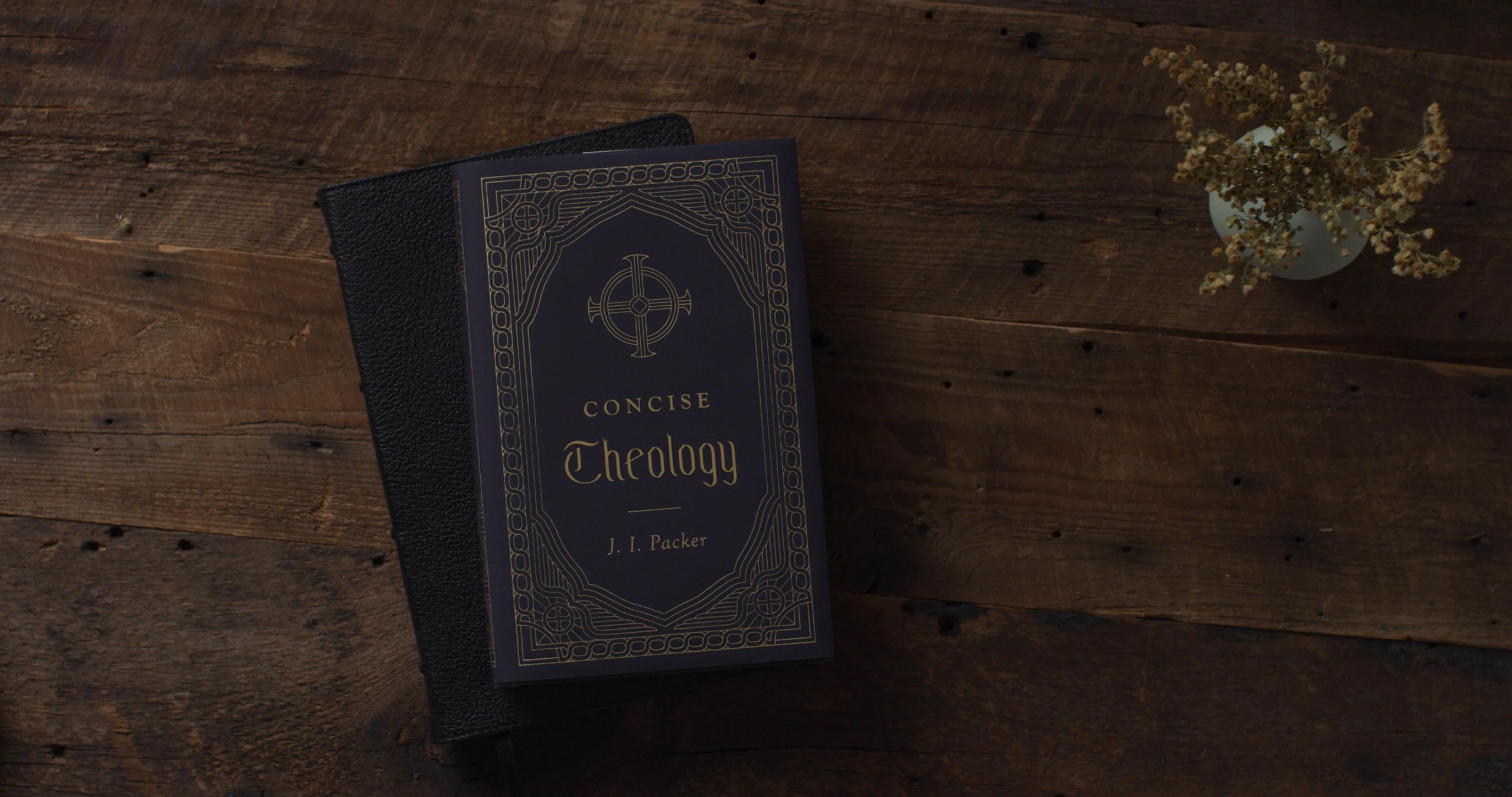 Concise Theology,Used
