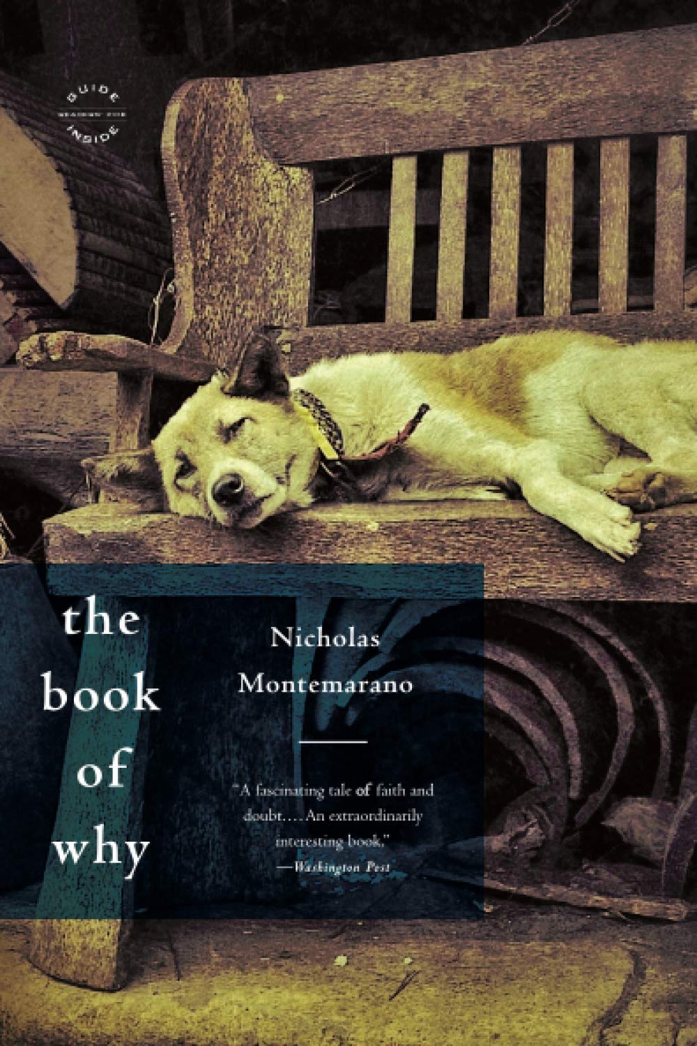 The Book of Why: A Novel,Used