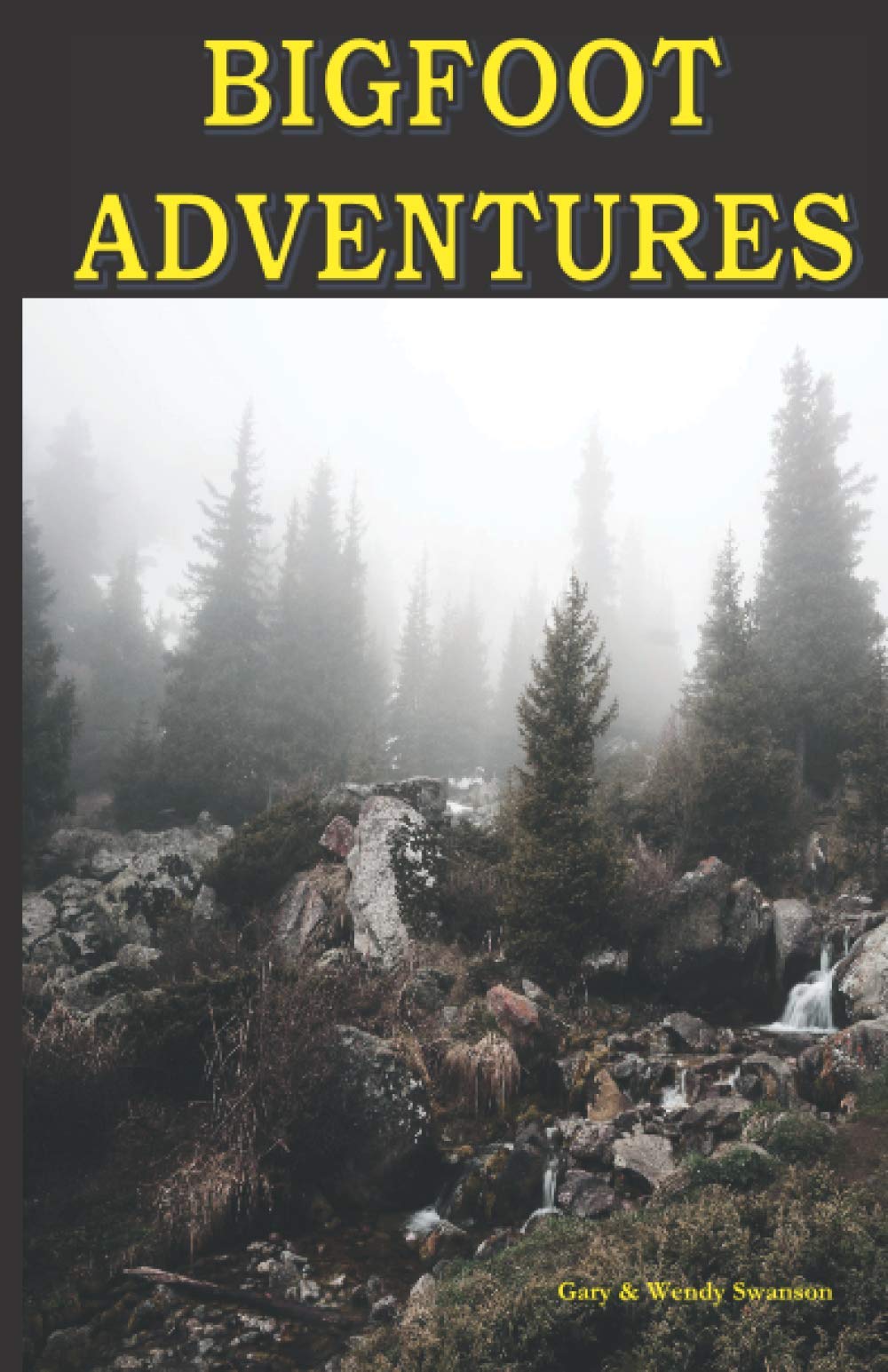 Bigfoot Adventures,Used