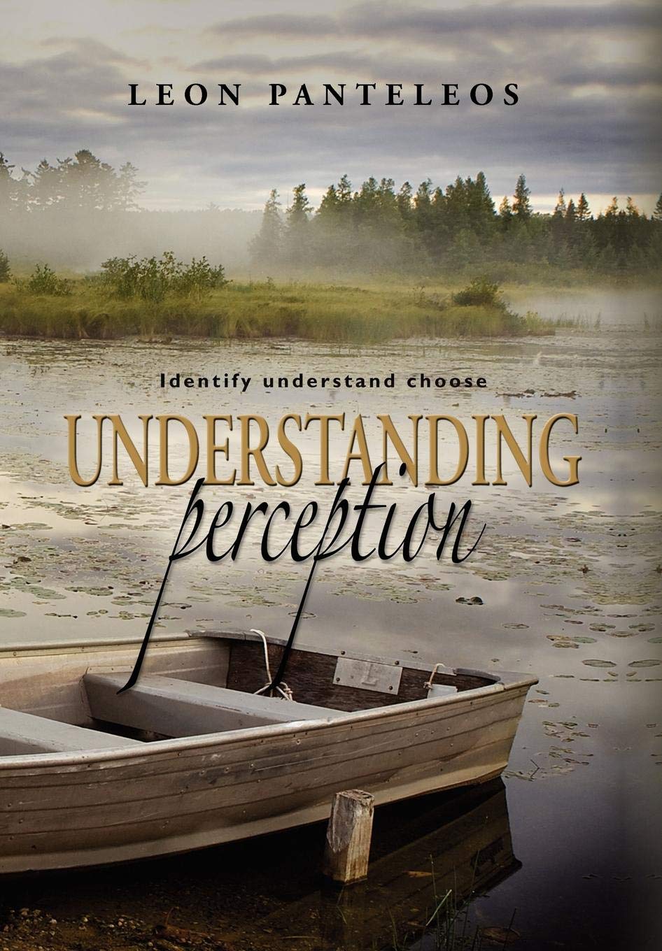 Understanding Perception: Identify, Understand, Choose,New