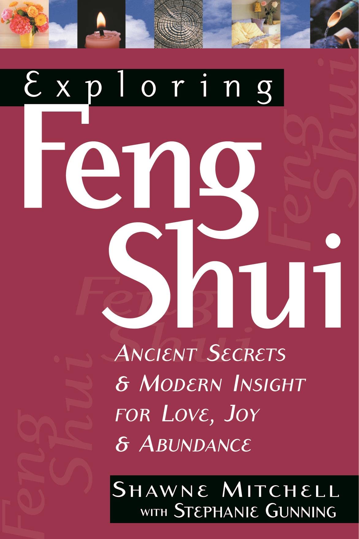 Exploring Feng Shui: Ancient Secrets & Modern Insight for Love, Joy, & Abundance (Exploring Series),Used
