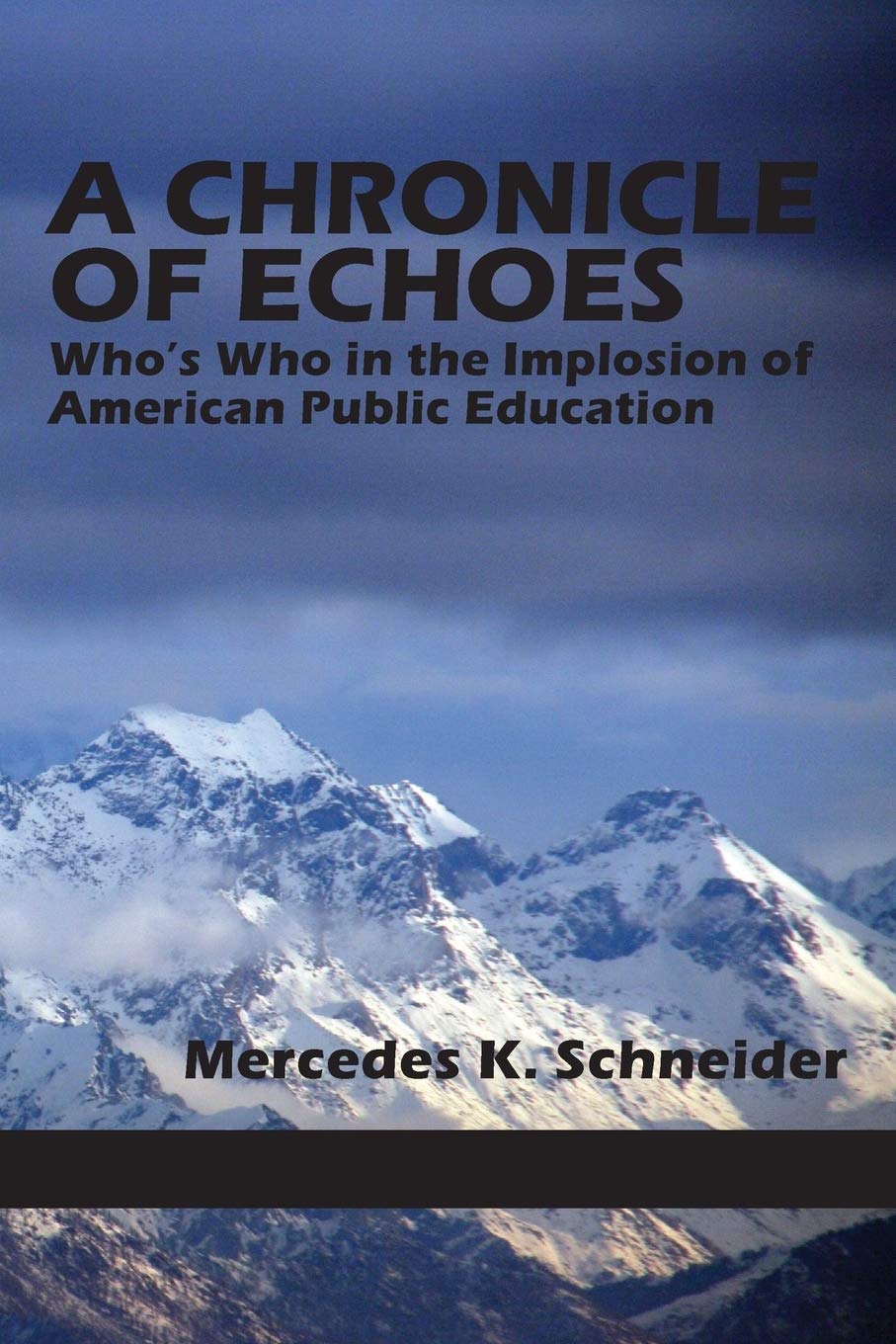 A Chronicle of Echoes: Who's Who in the Implosion of American Public Education (NA),Used