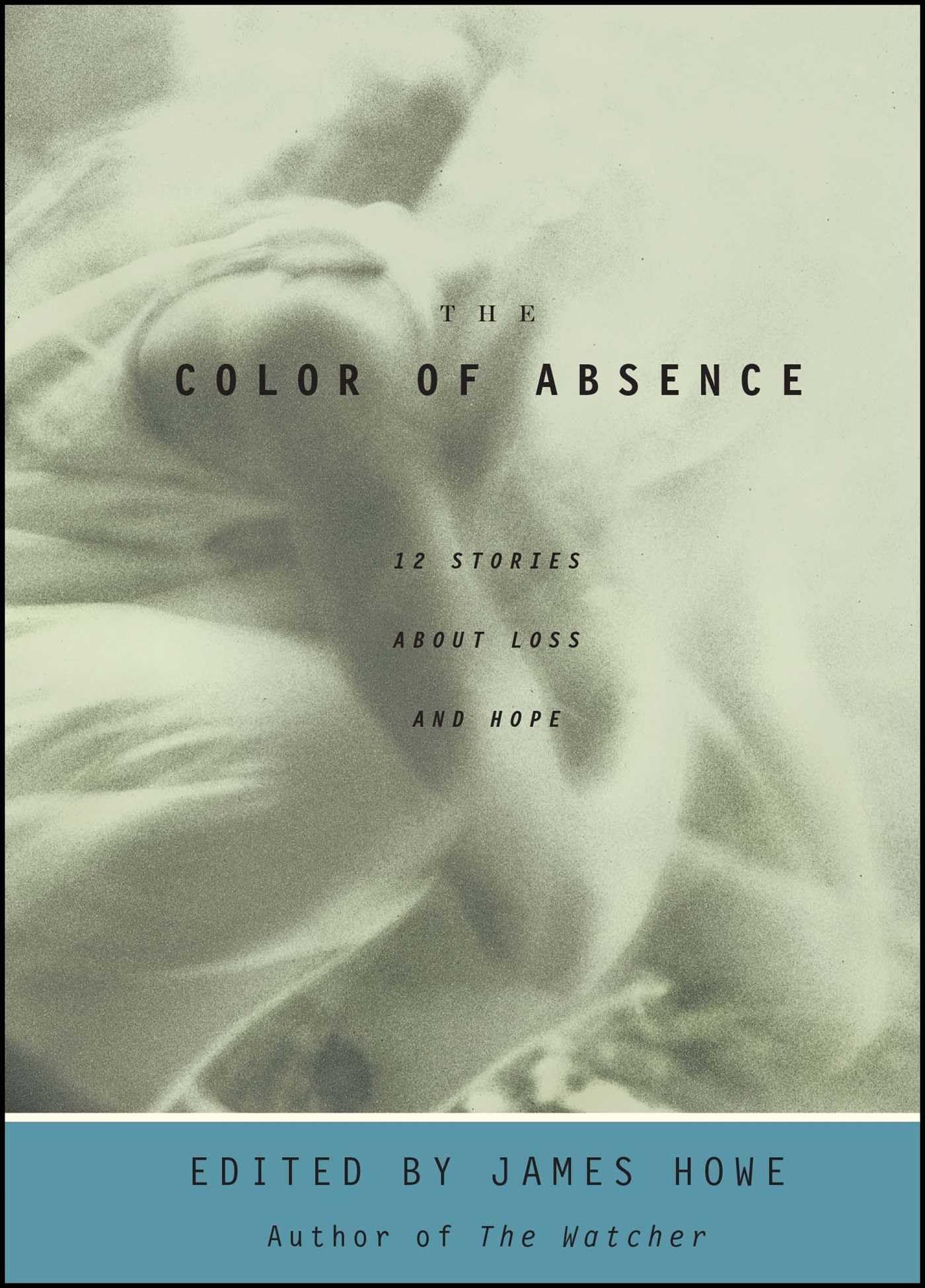 The Color Of Absence : 12 Stories About Loss And Hope,Used