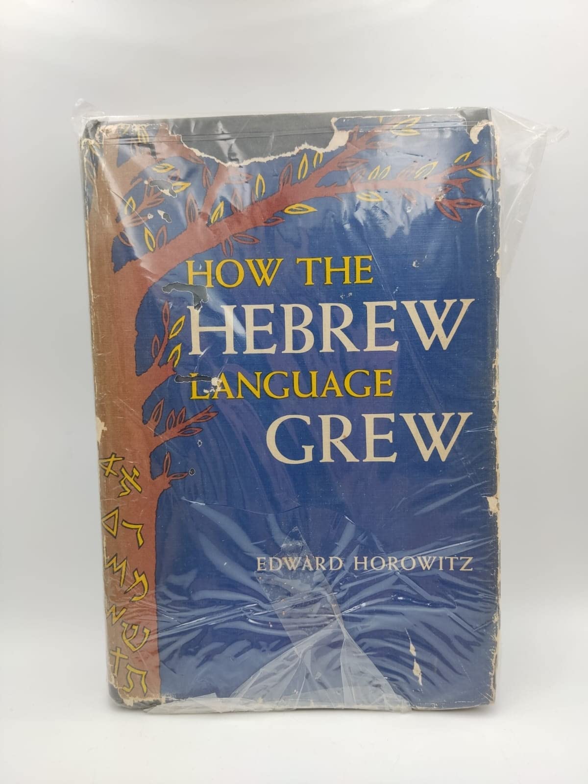 How The Hebrew Language Grew,New