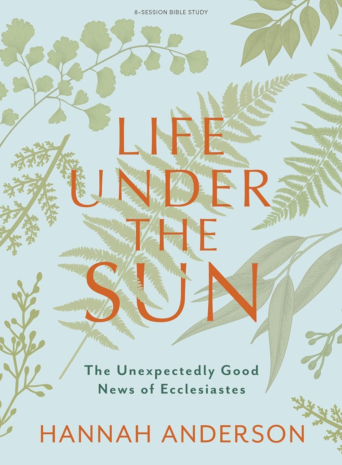 Life Under the Sun Bible Study Book: The Unexpectedly Good News of Ecclesiastes,New