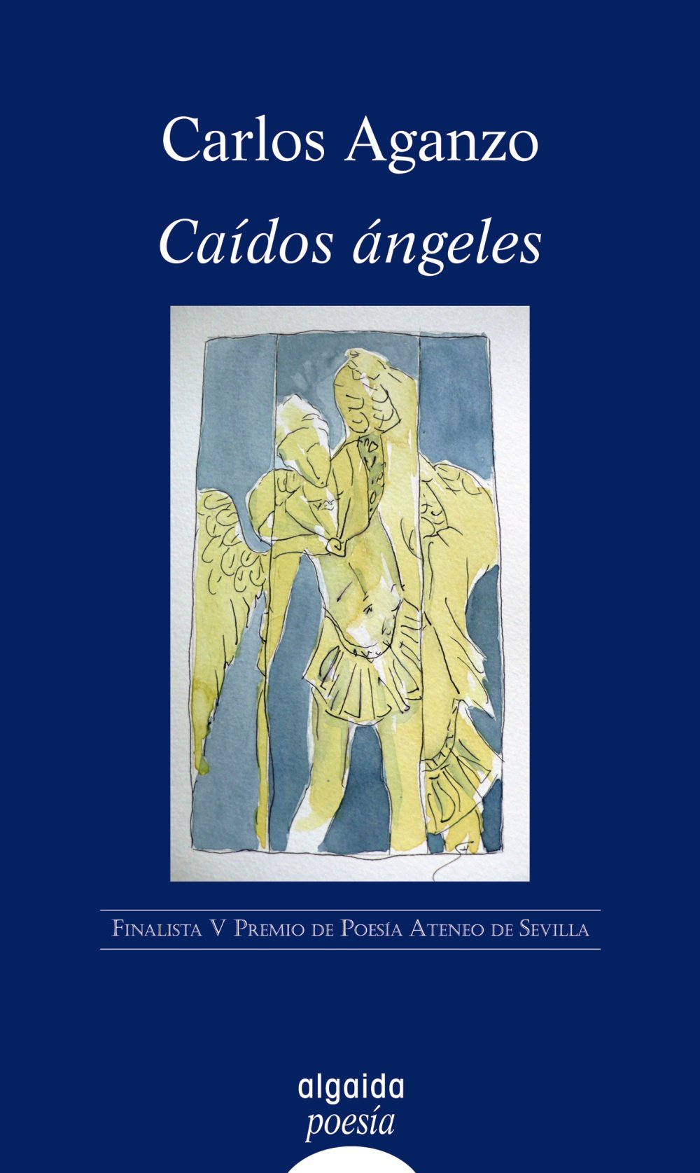 Cados ngeles (Spanish Edition),Used