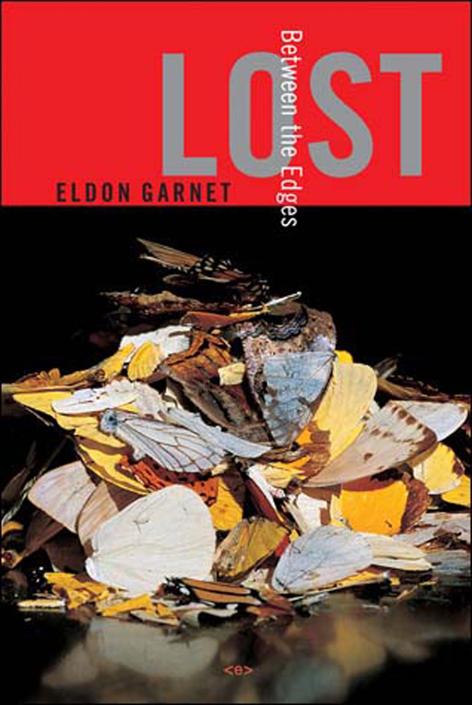 Lost Between The Edges (Semiotext(E) / Native Agents)