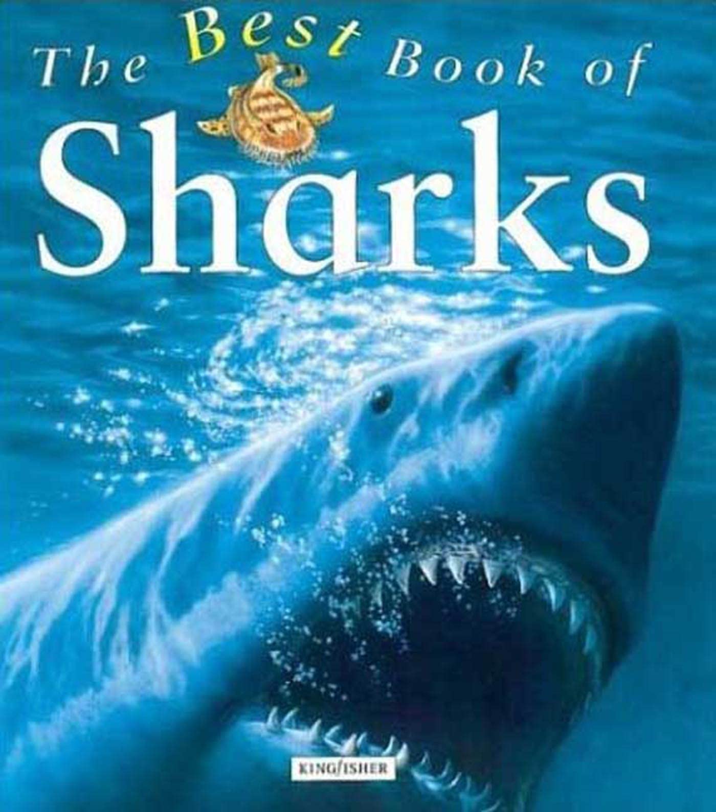 My Best Book of Sharks (The Best Book of),Used