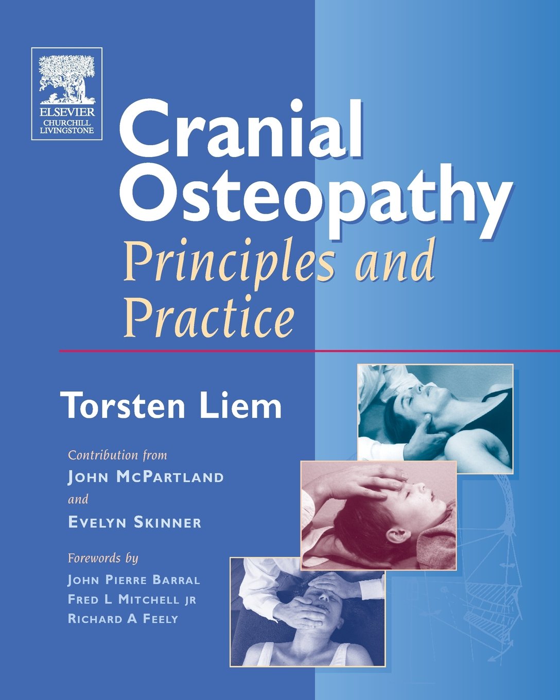 Cranial Osteopathy: Principles And Practice,Used