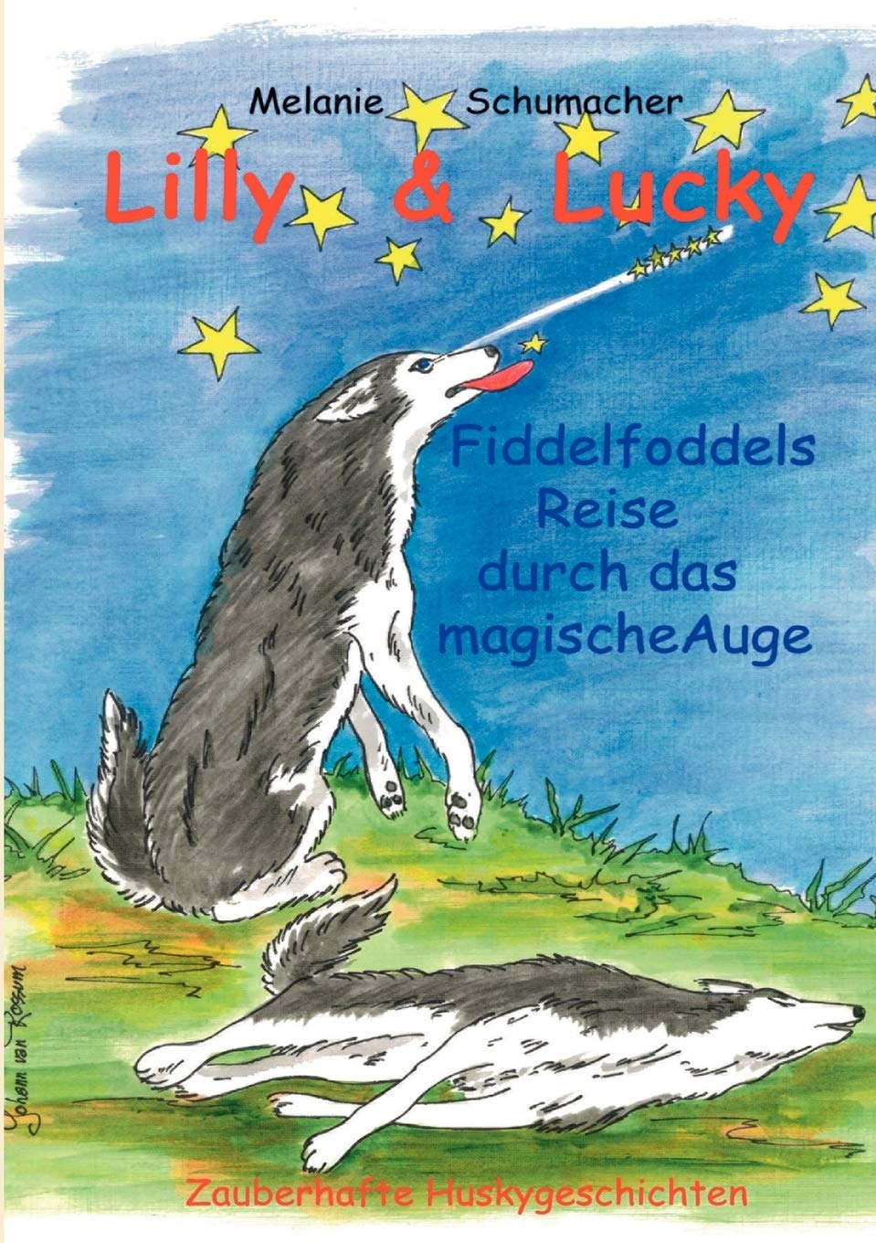 Lilly & Lucky: Fiddelfoddels Reise durch das magische Auge (German Edition),Used