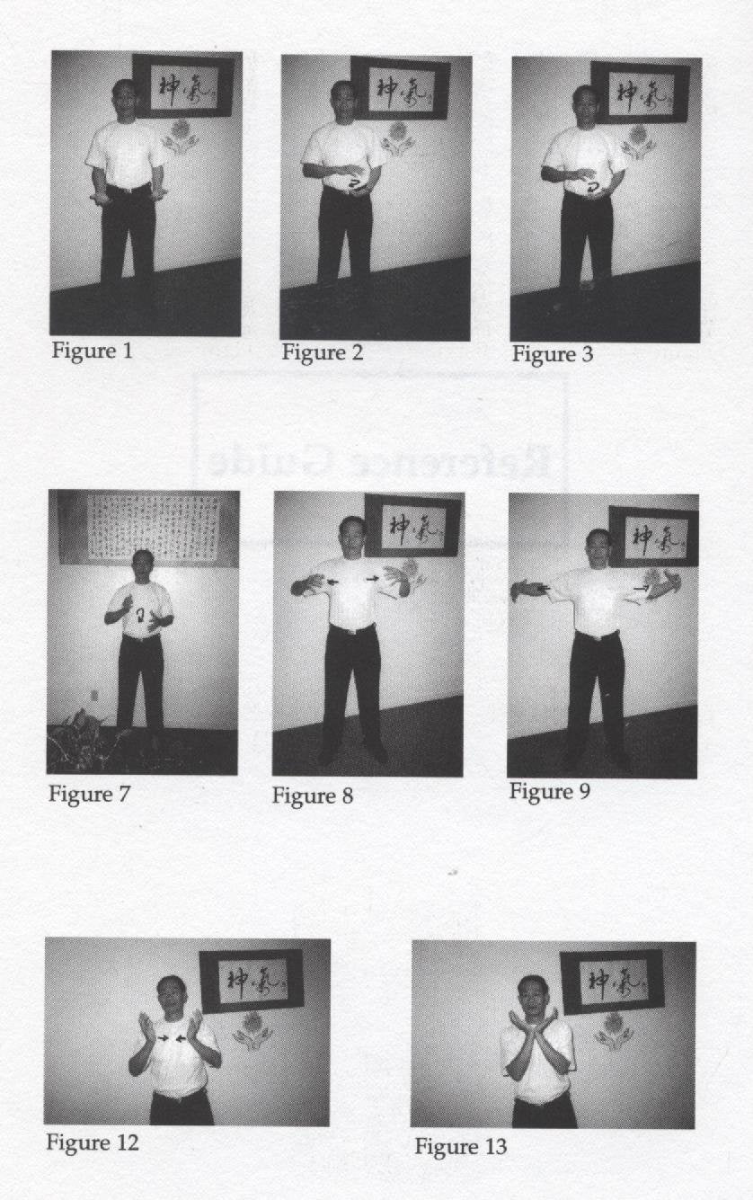 Pan Gu Mystical Qigong,Used