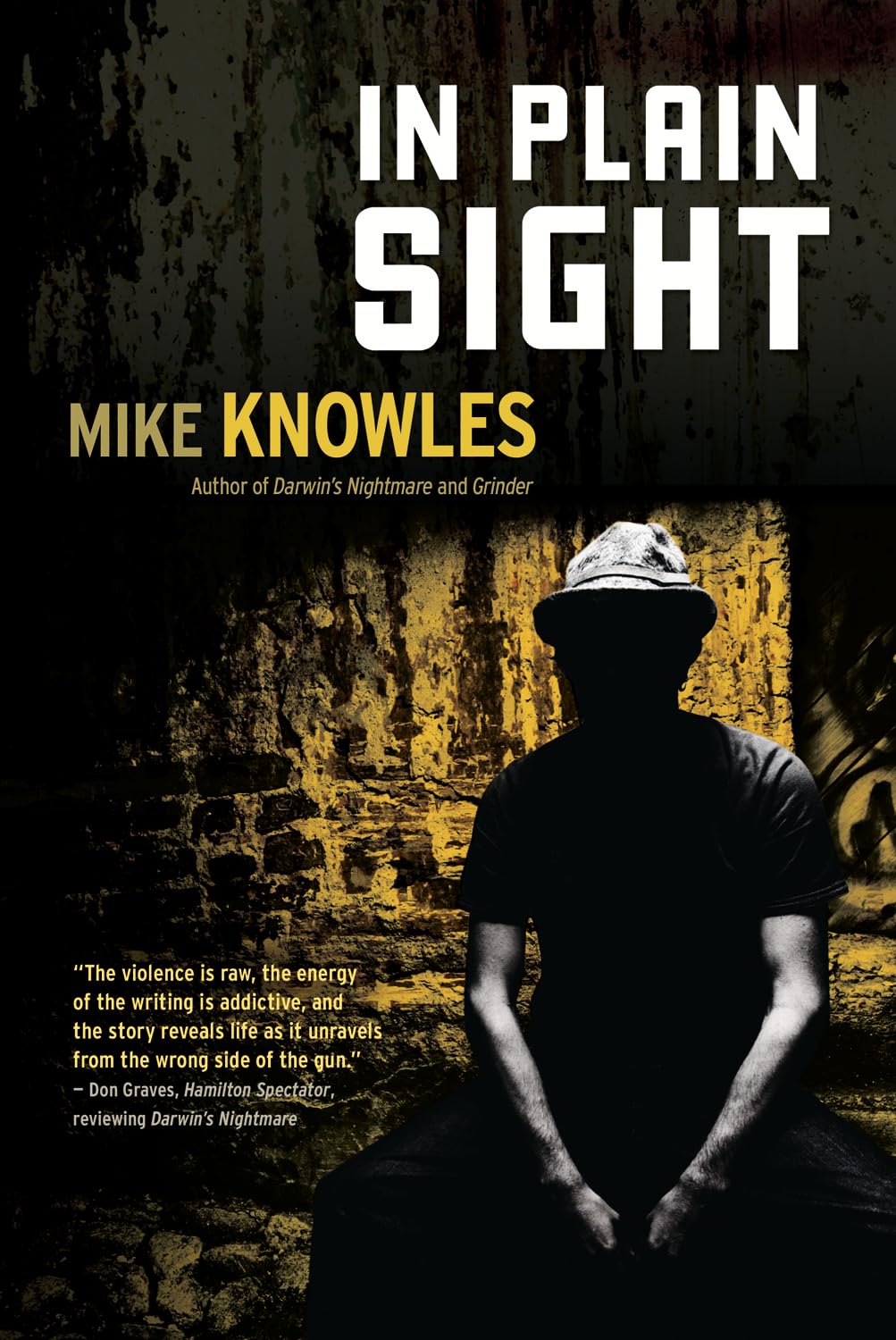 In Plain Sight (A Wilson Mystery, 3),Used