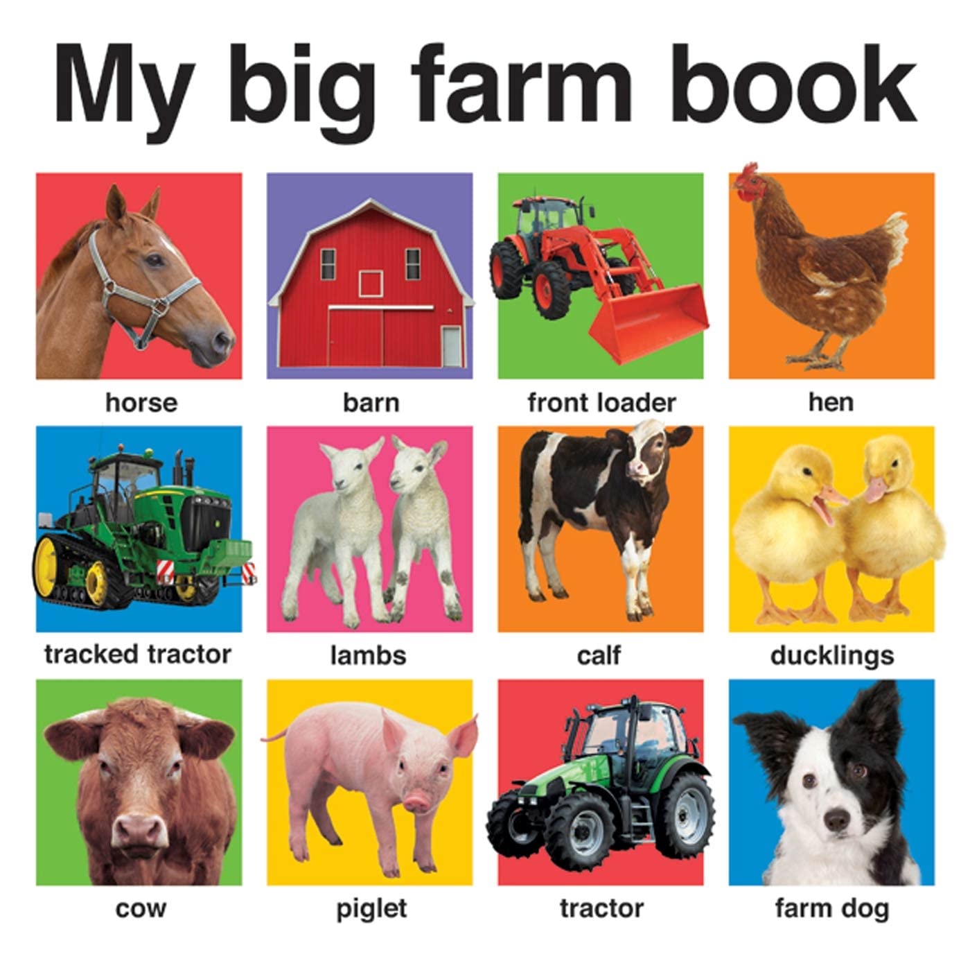 My Big Farm Book (My Big Board Books),Used
