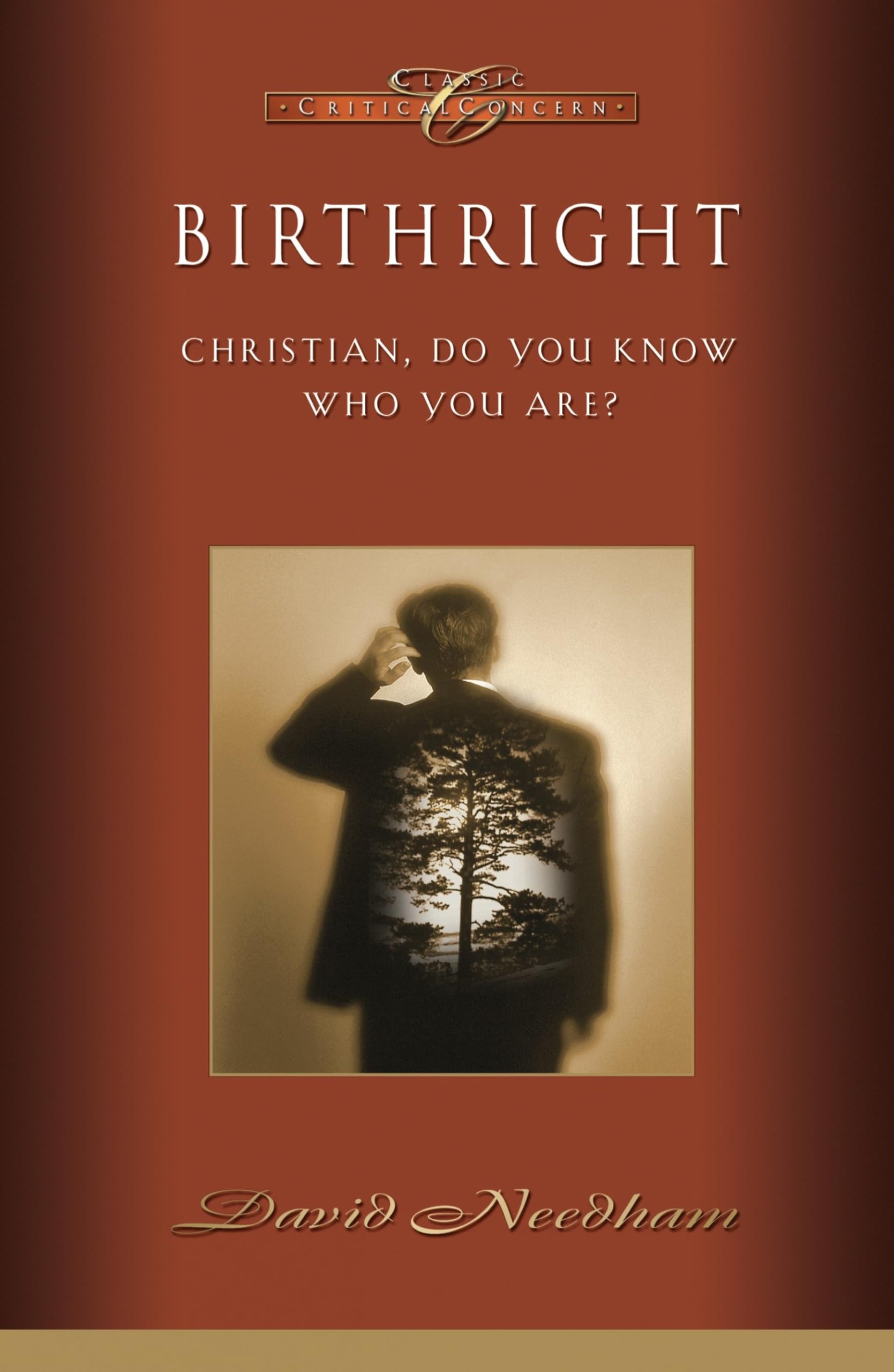 Birthright: Christian, Do You Know Who You Are? (Classic Critical Concern),Used