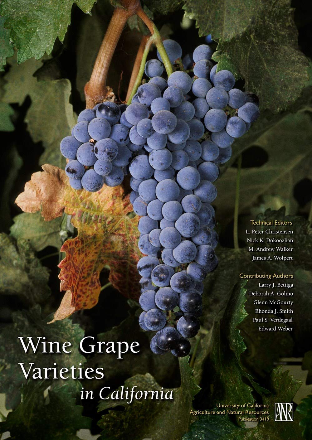 Wine Grape Varieties in California,Used