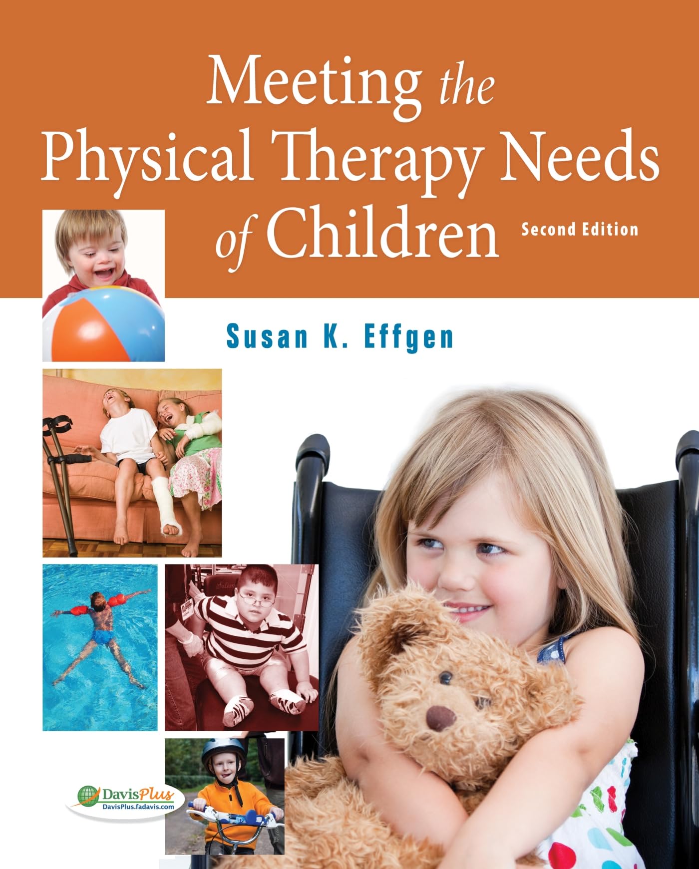 Meeting The Physical Therapy Needs Of Children,New